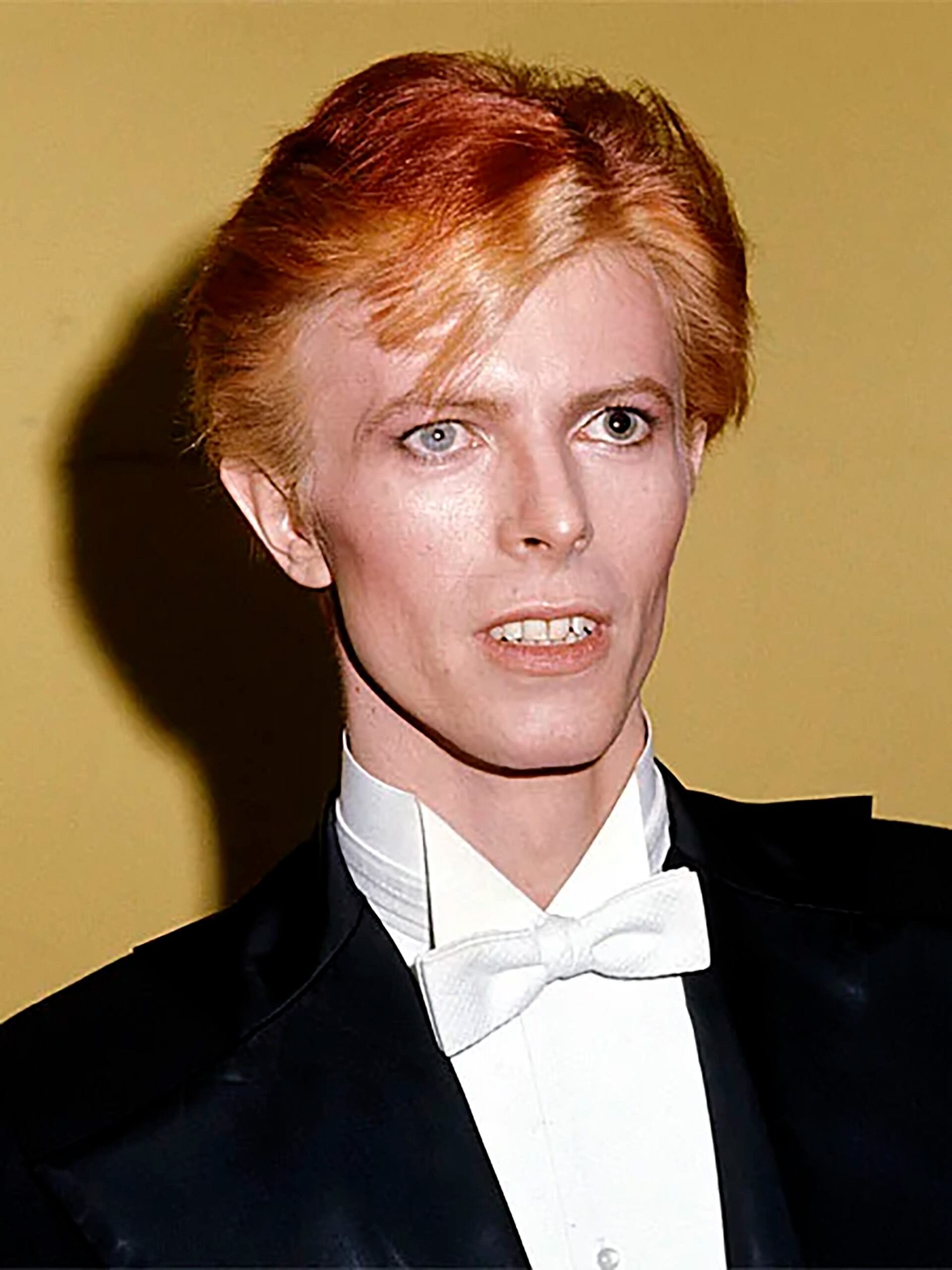La figura de David Bowie y su experiencia en el cine estimularon debates y escenarios alternativos entre los fanáticos de El Señor de los Anillos (Crédito: www.davidbowie.com)