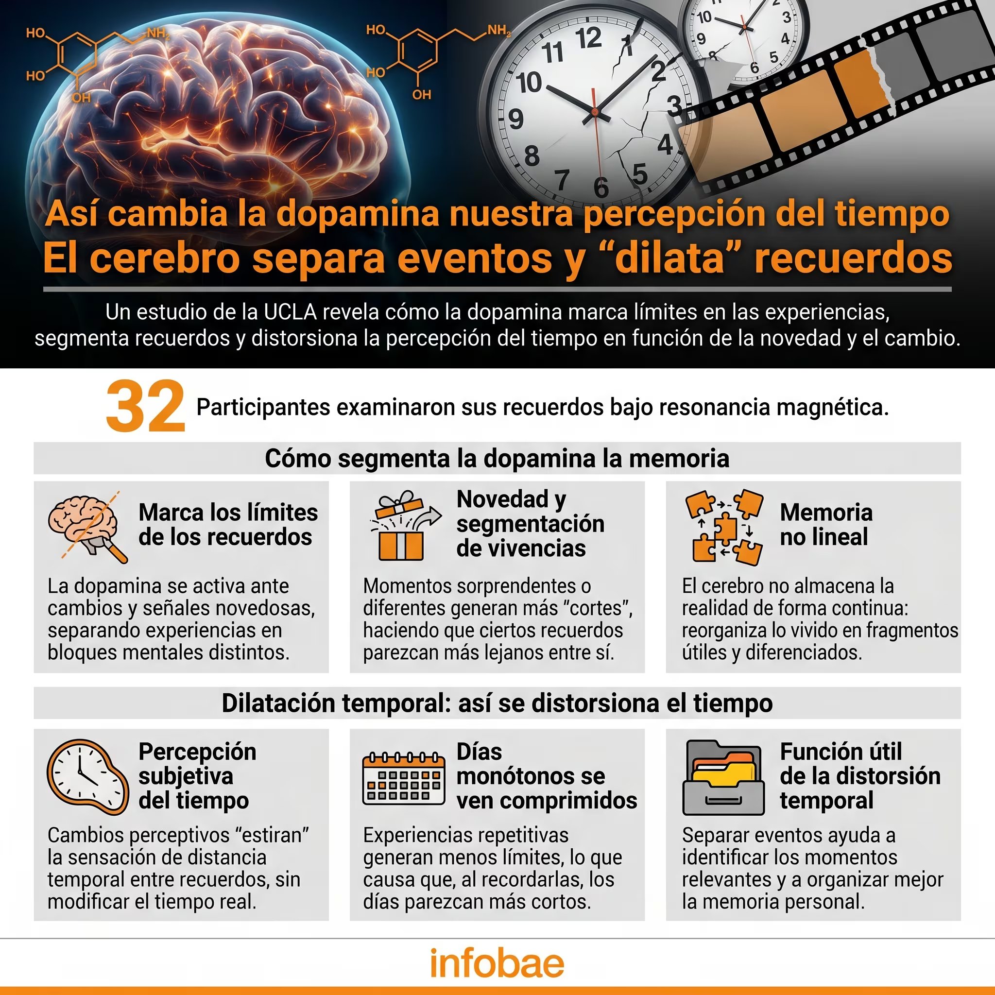 El estudio reconoce limitaciones en la medición directa de dopamina y destaca la necesidad de explorar este mecanismo en contextos más complejos de la vida real (Imagen Ilustrativa Infobae)