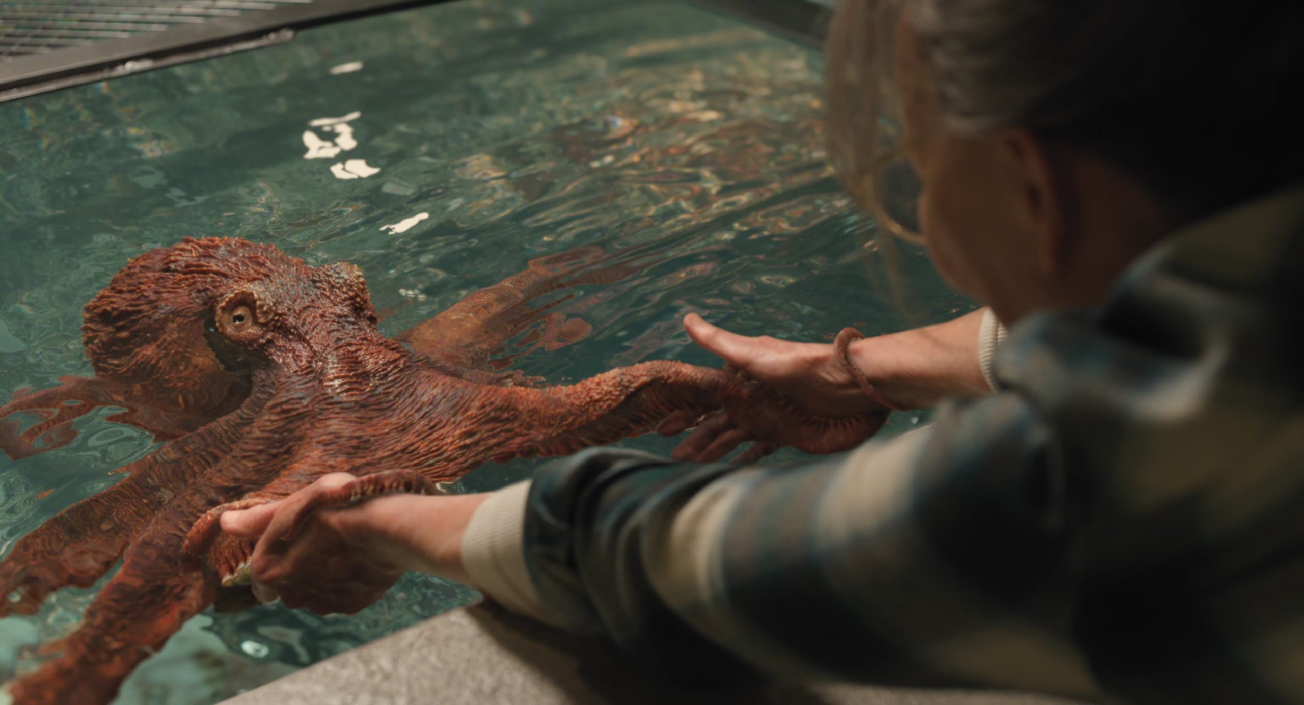 La voz de Alfred Molina da vida a Marcellus, el pulpo del Pacífico central en la historia de redescubrimiento personal y empatía fílmica.(Netflix)