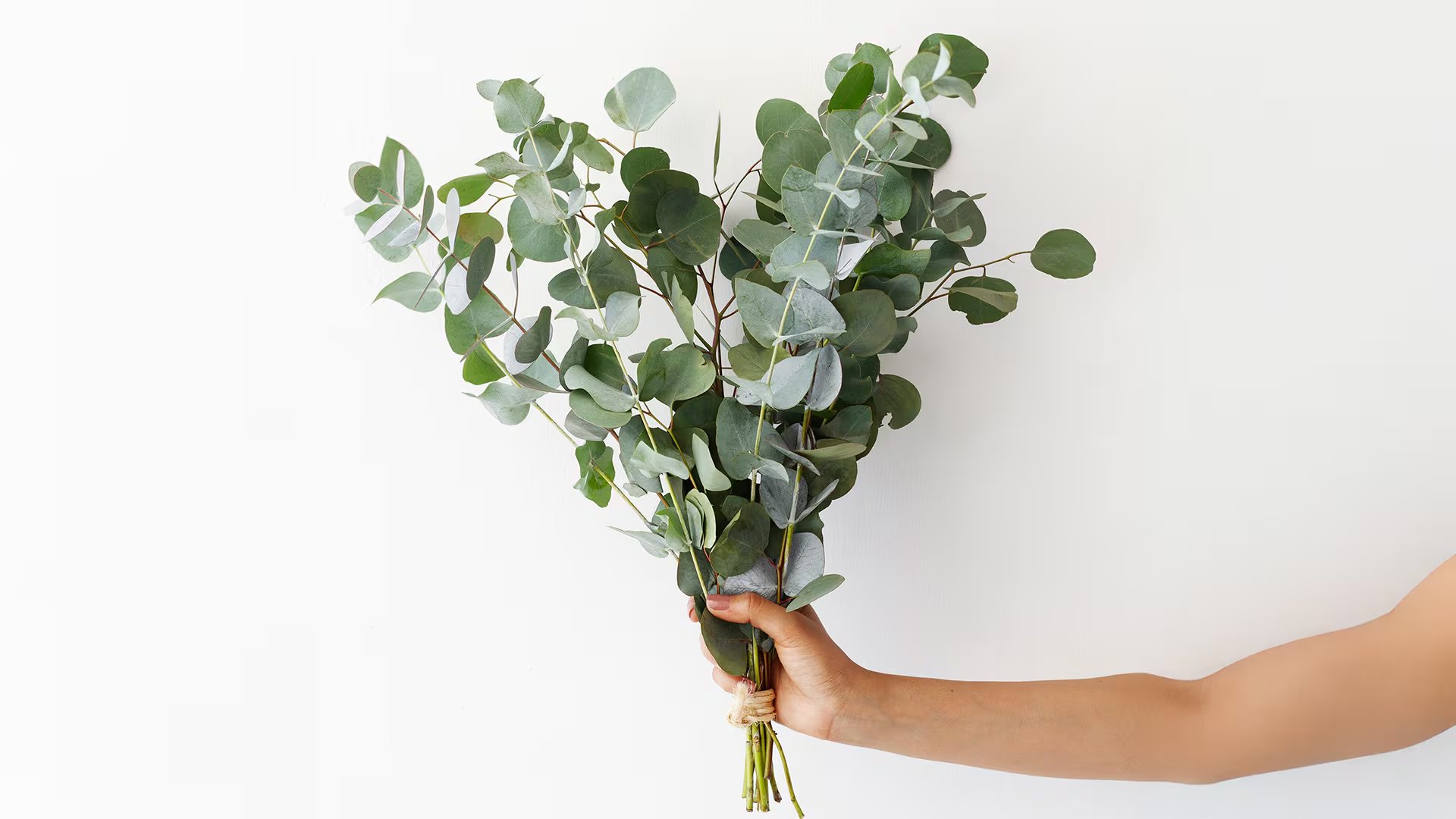 Trucos de decoración. (Freepik)