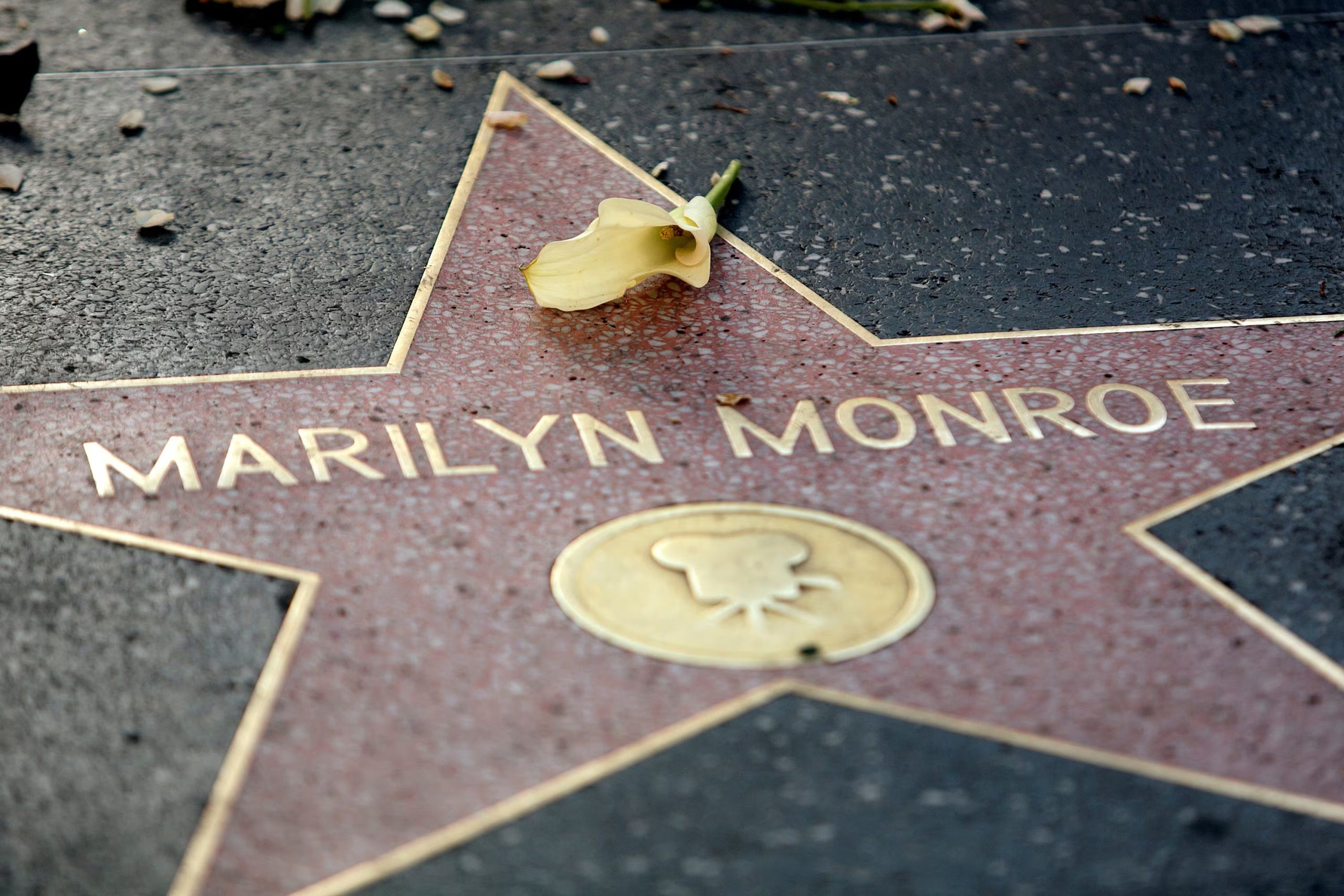 Las últimas declaraciones de Marilyn Monroe a la revista Life reflejan su malestar por la fama y el peso de ser considerada un símbolo sexual (REUTERS/Krista Kennell)