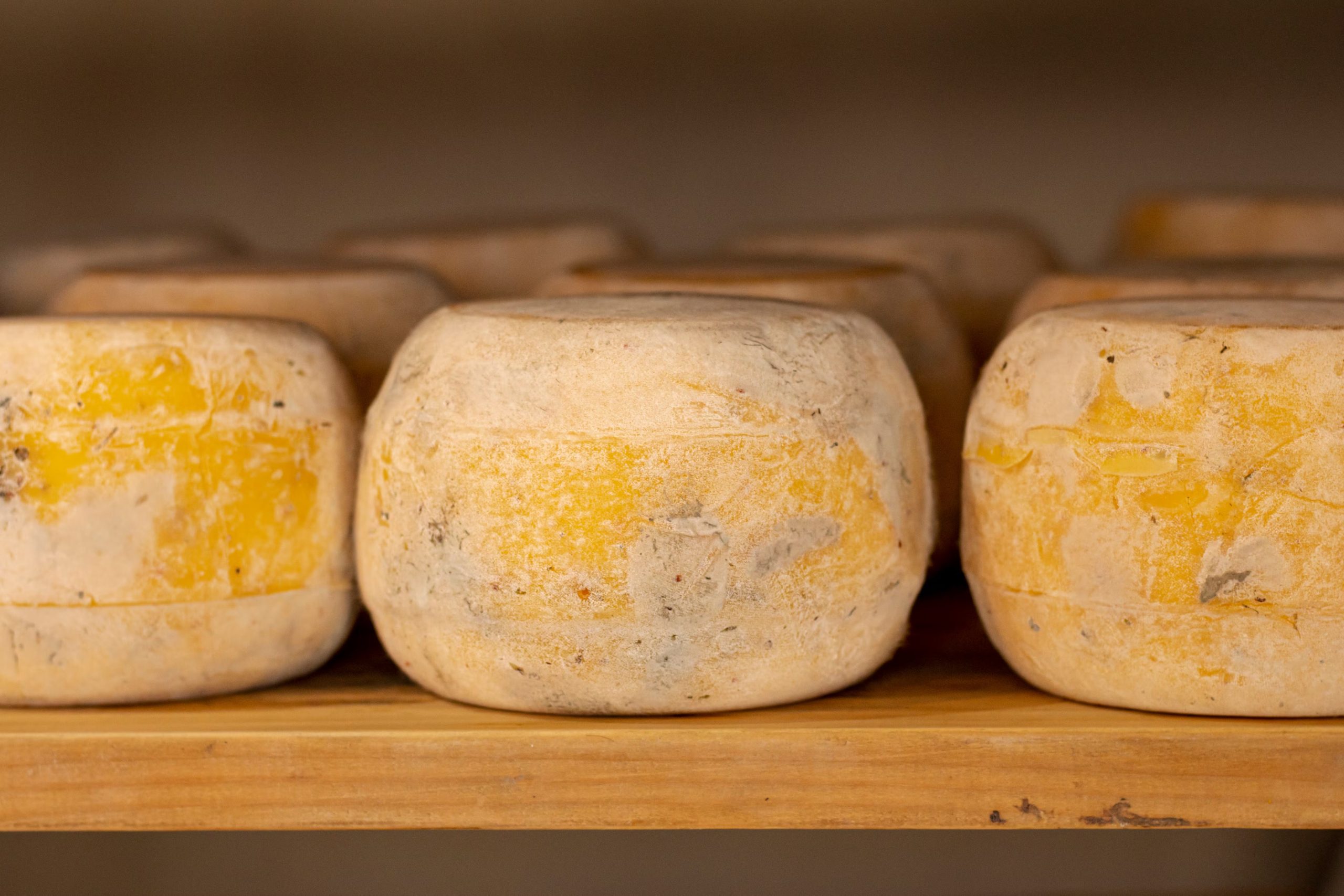 Familias como los Nieddu y productores célebres como Andrea Logias representan la continuidad y maestría en la fabricación tradicional de casu marzu en Cerdeña (Freepik)