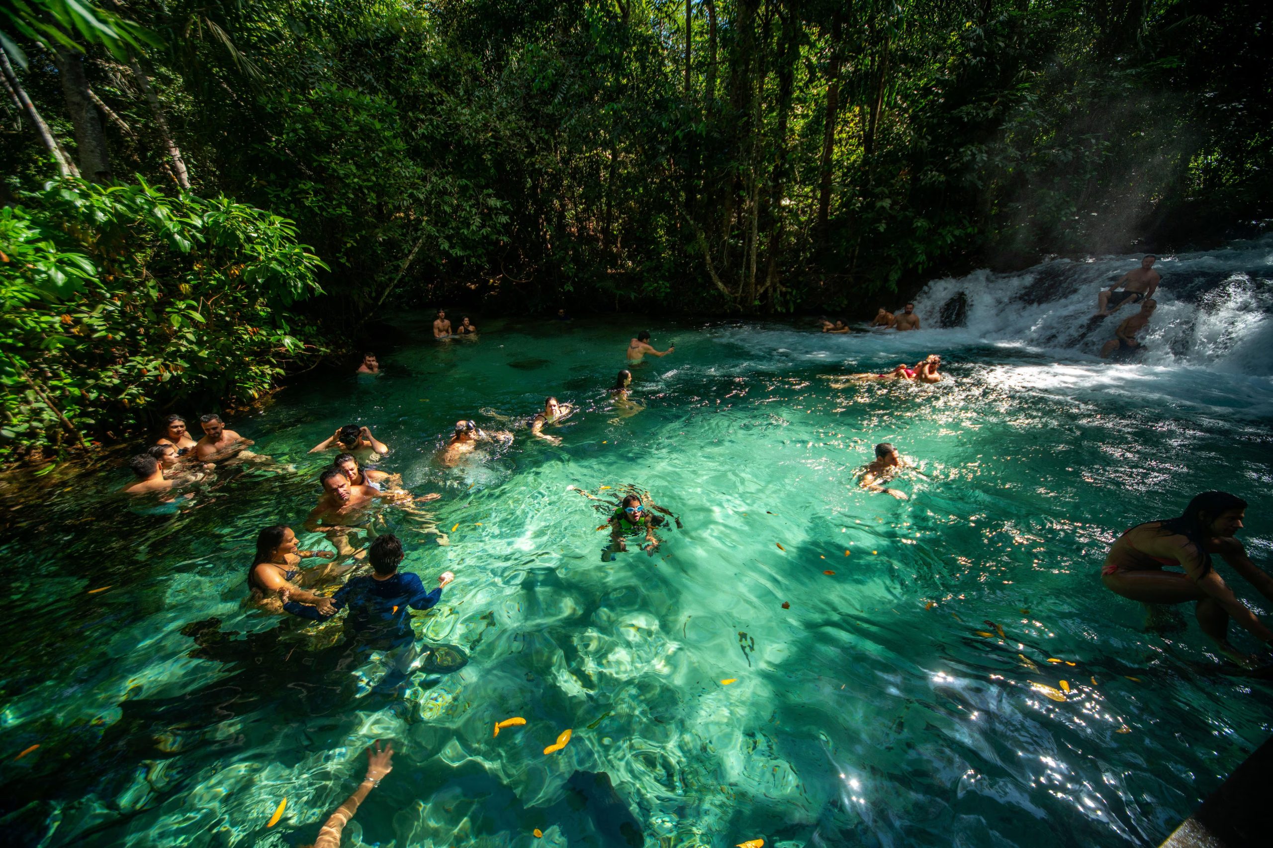 Jalapão State Park en Brasil es conocido por sus fervedouros o piscinas naturales de aguas cristalinas, únicas por su fenómeno físico (Grosby)