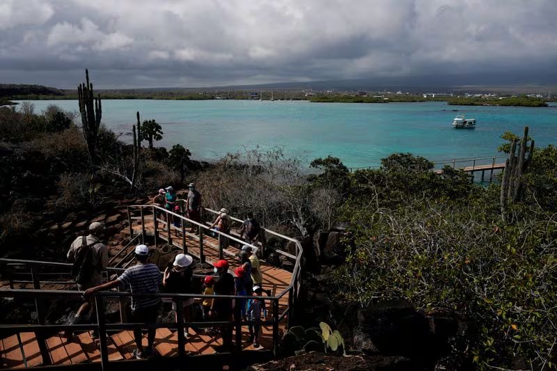 El archipiélago de las Islas Galápagos asombró a Charles Darwin y es hogar de iguanas marinas, piqueros de patas azules y tortugas gigantes (REUTERS/Santiago Arcos)