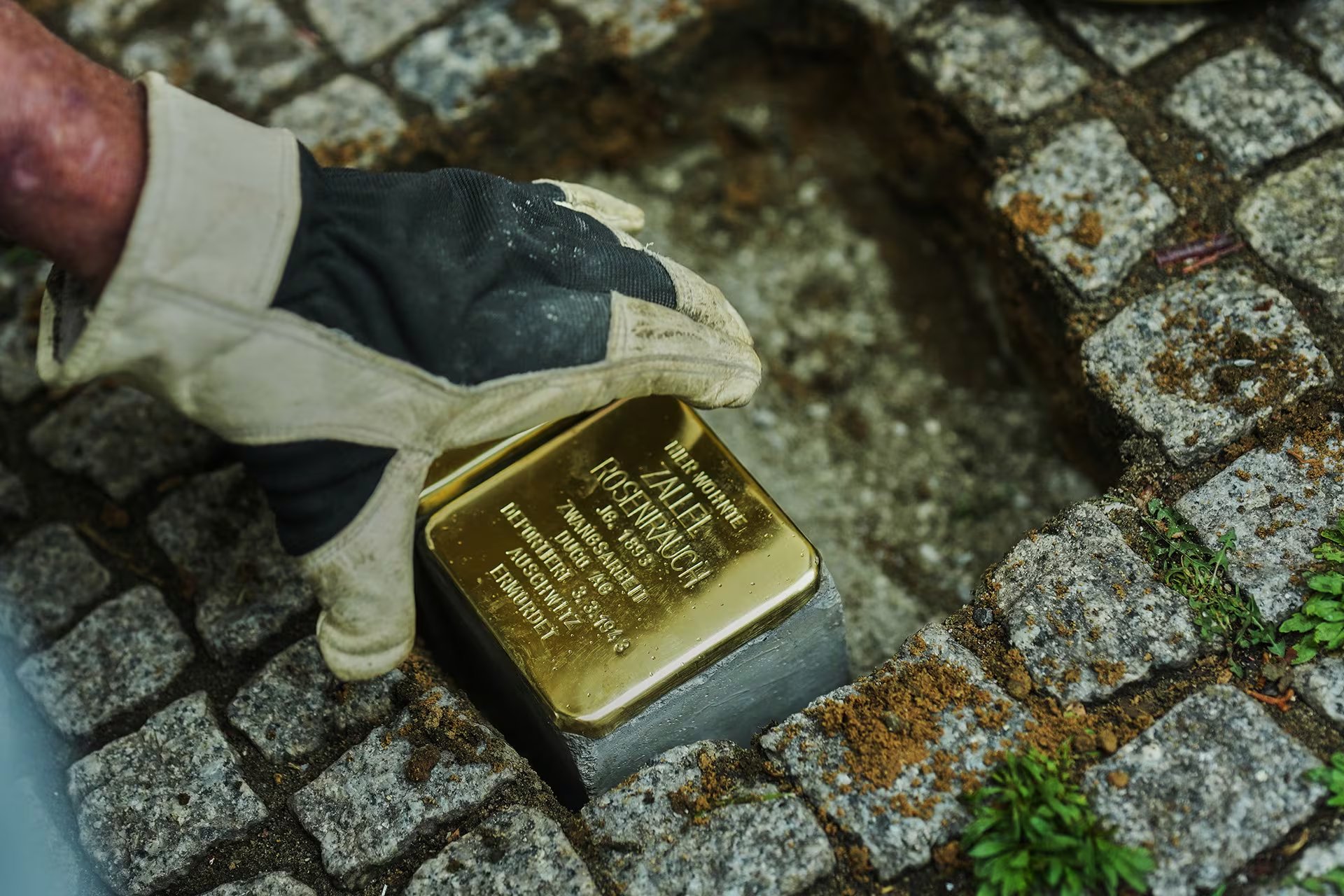Una mano enguantada coloca un 'Stolperstein' dorado, dedicado a Zallee Rosenrauch, en un adoquín para conmemorar a una víctima del Holocausto. (AP)