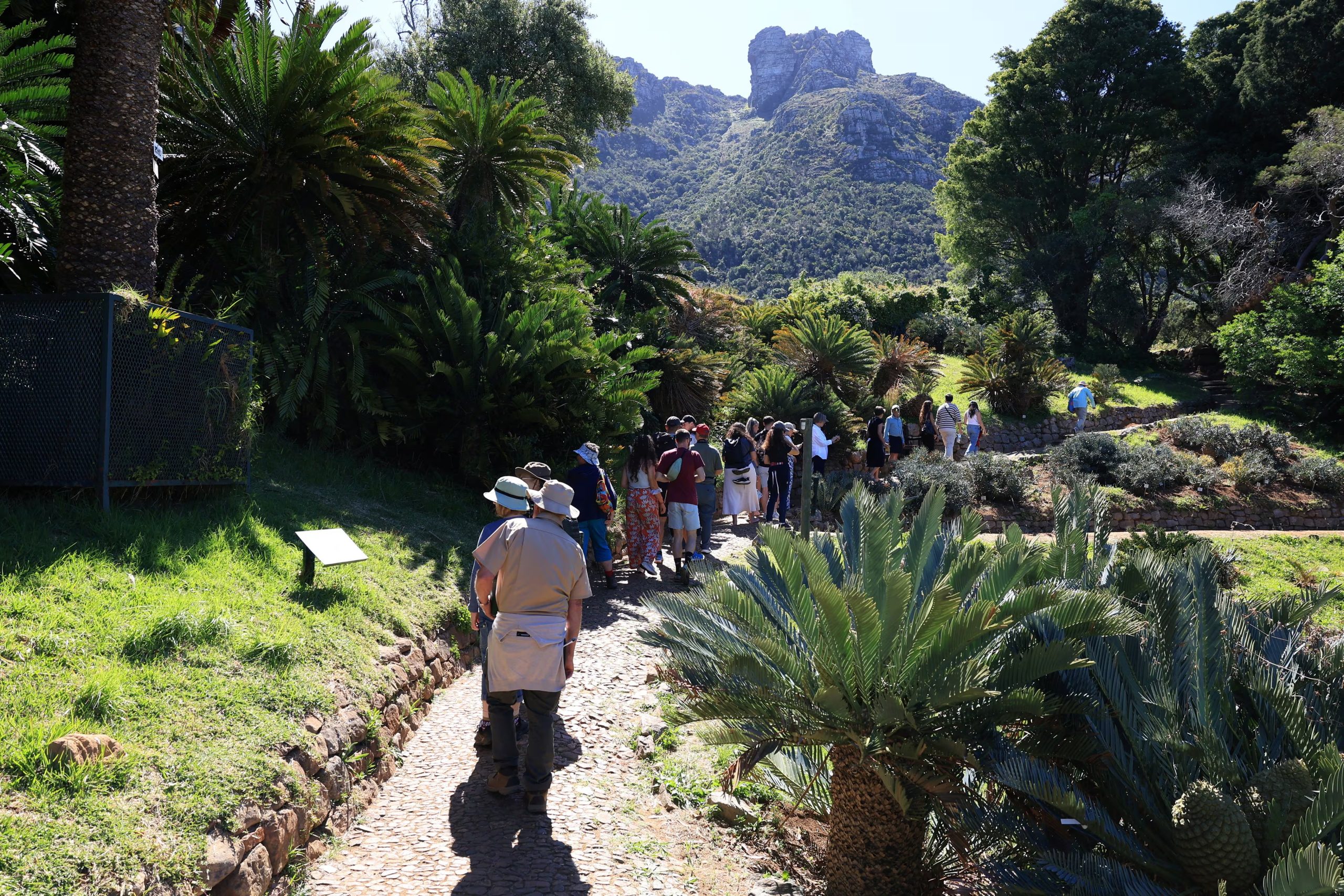 El Jardín Botánico Nacional de Kirstenbosch en Sudáfrica destaca por su biodiversidad autóctona y senderos rodeados de flores nativas del bioma fynbos (REUTERS/Esa Alexander)