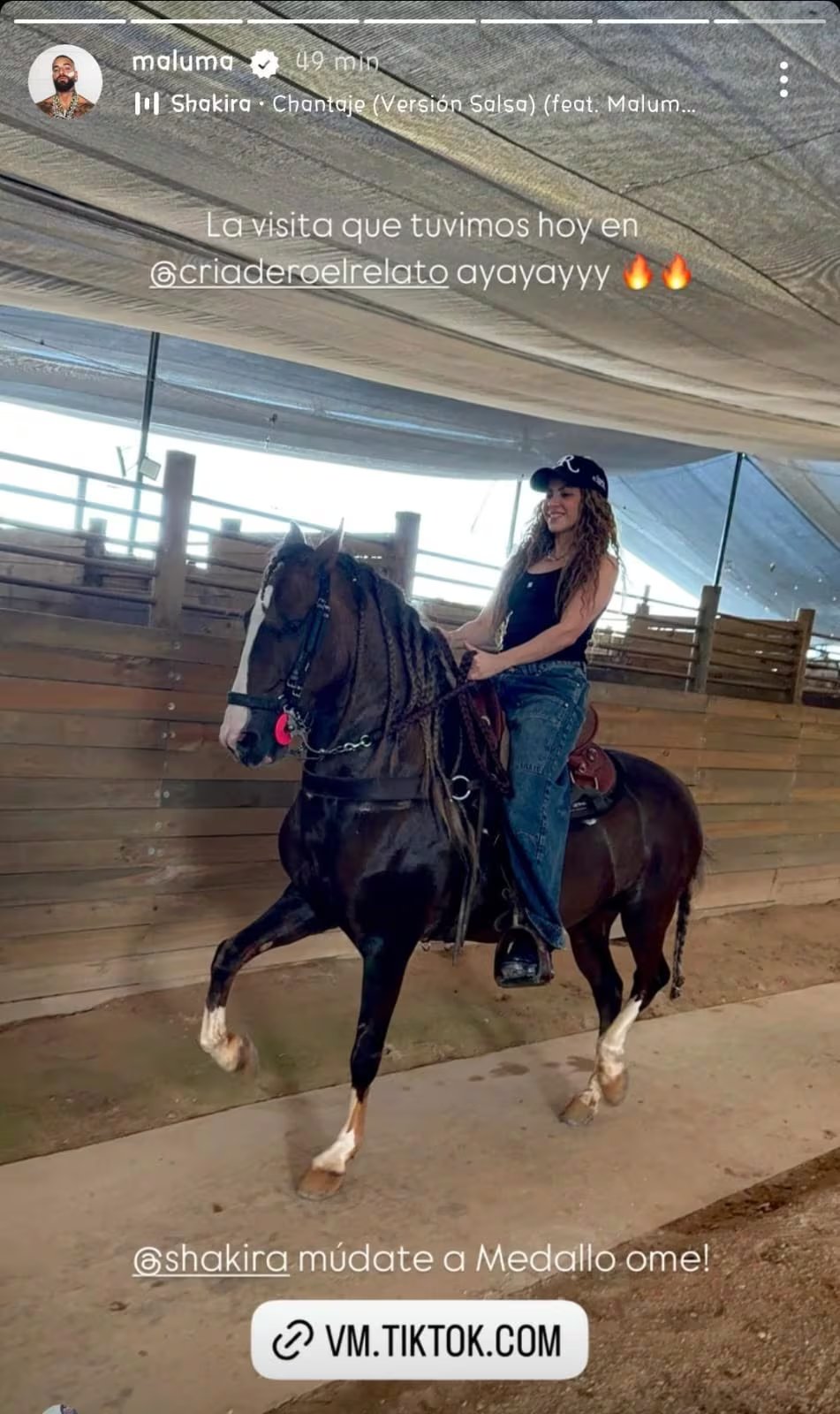 La cantante barranquillera impresionó con su habilidad como jinete en un caballo de paso fino - crédito maluma / Instagram