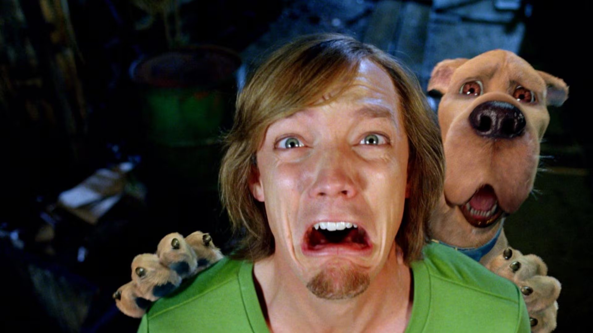 Las películas de Scooby-Doo, protagonizadas por Matthew Lillard como Shaggy, alcanzan hoy una popularidad superior a la época de su estreno original debido a la nostalgia (Warner Bros.)