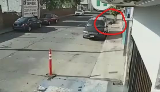 Las imágenes difundidas en plataformas digitales generaron múltiples reacciones por la manera en que el animal era transportado.