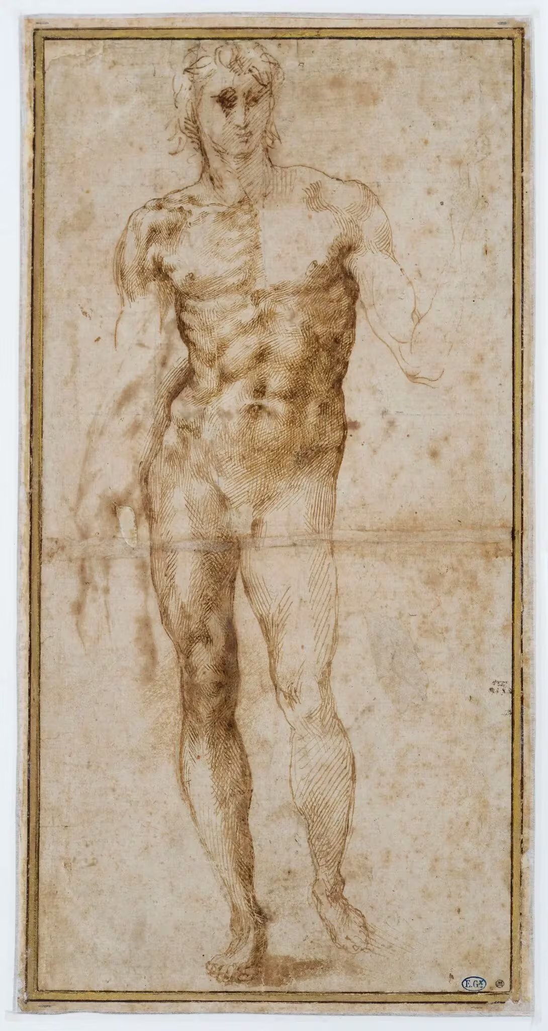 Aunque el mármol, bronce, yeso y terracota predominan en la exposición, también incluye unos 30 dibujos de Miguel Angel que ilustran su fascinación por la anatomía y estudios para sus esculturas en mármol 