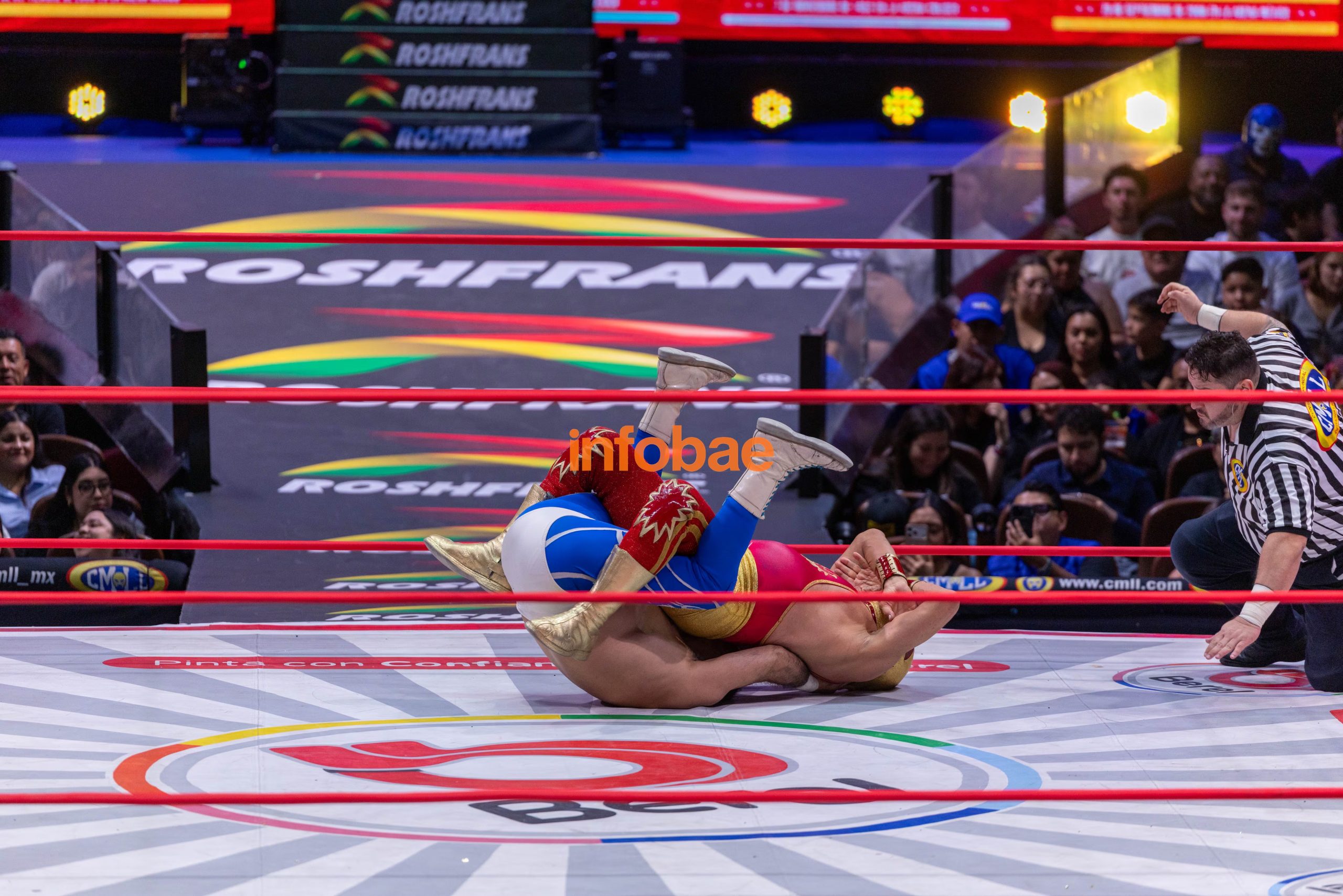 (CMLL / Diego Cedrix)