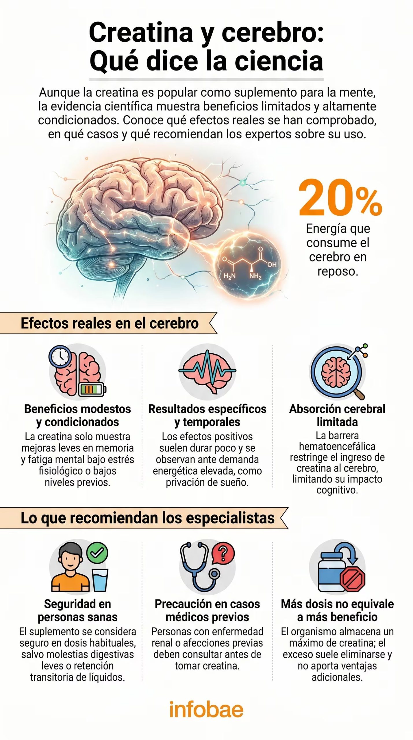 Los beneficios de la creatina en la función cerebral aparecen sobre todo en situaciones de estrés fisiológico o bajos niveles previos en el organismo (Imagen Ilustrativa Infobae)