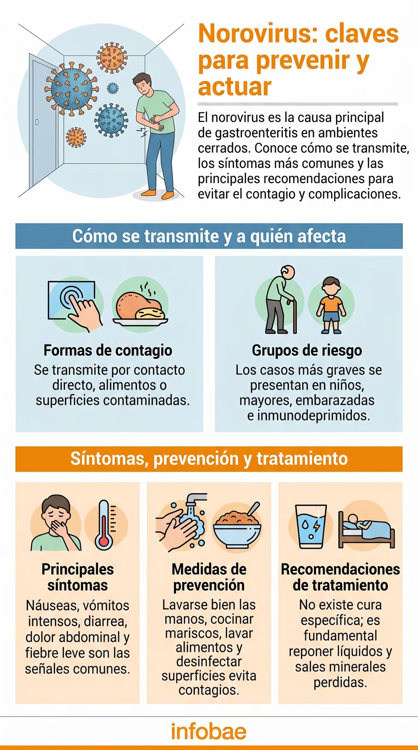 Infografía detallada sobre el norovirus que explica sus formas de contagio, síntomas principales, grupos de riesgo, medidas de prevención y recomendaciones de tratamiento para evitar complicaciones. (Imagen Ilustrativa Infobae)