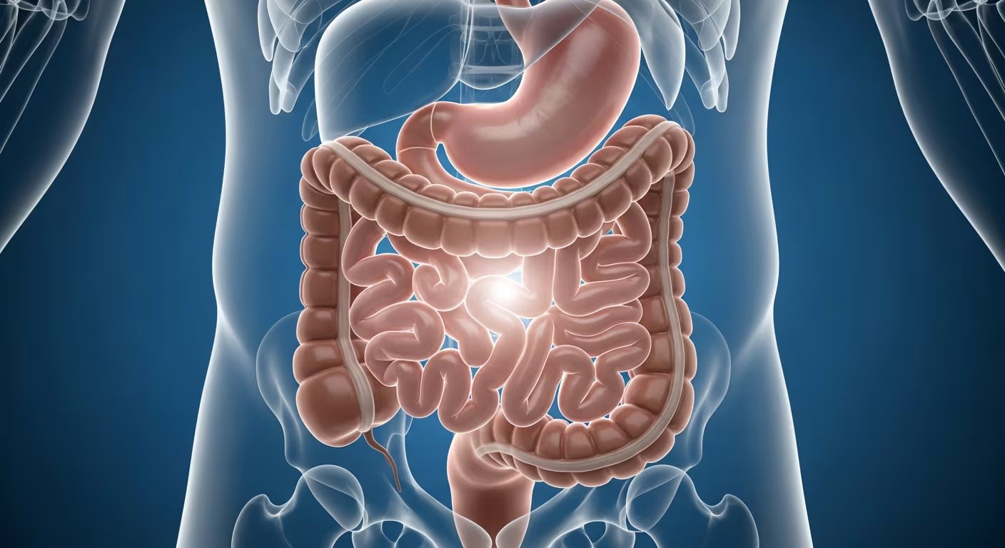 El virus puede permanecer activo en las heces varias semanas después de la recuperación, por lo que el riesgo de contagio se mantiene durante ese tiempo (Imagen Ilustrativa Infobae)