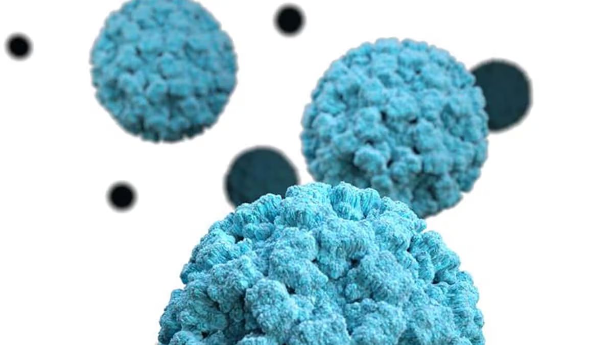 La detección del norovirus se basa en la evaluación clínica de los síntomas, aunque existen pruebas específicas como el análisis de heces en casos necesarios (CDC)