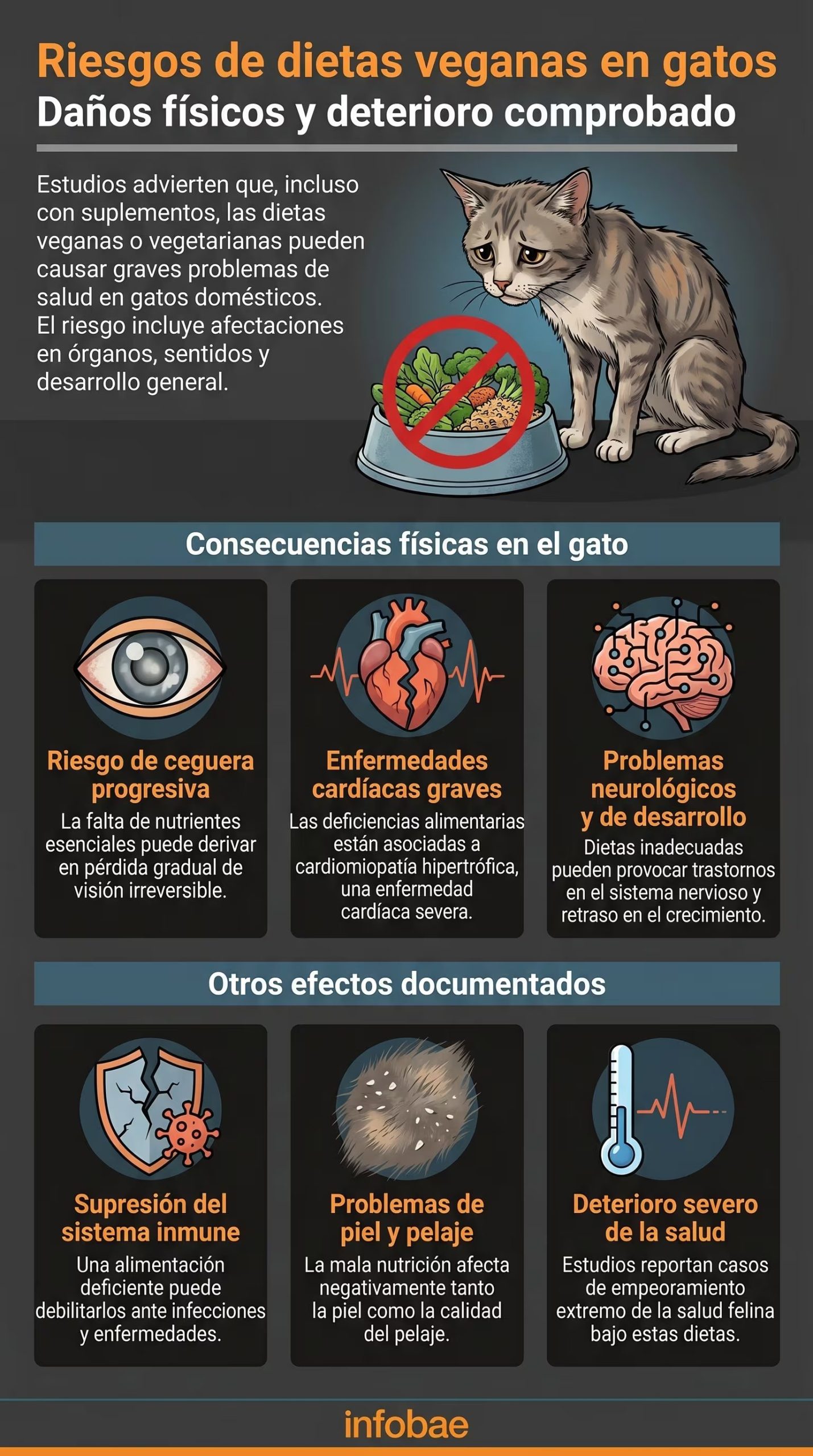  (Imagen Ilustrativa Infobae)