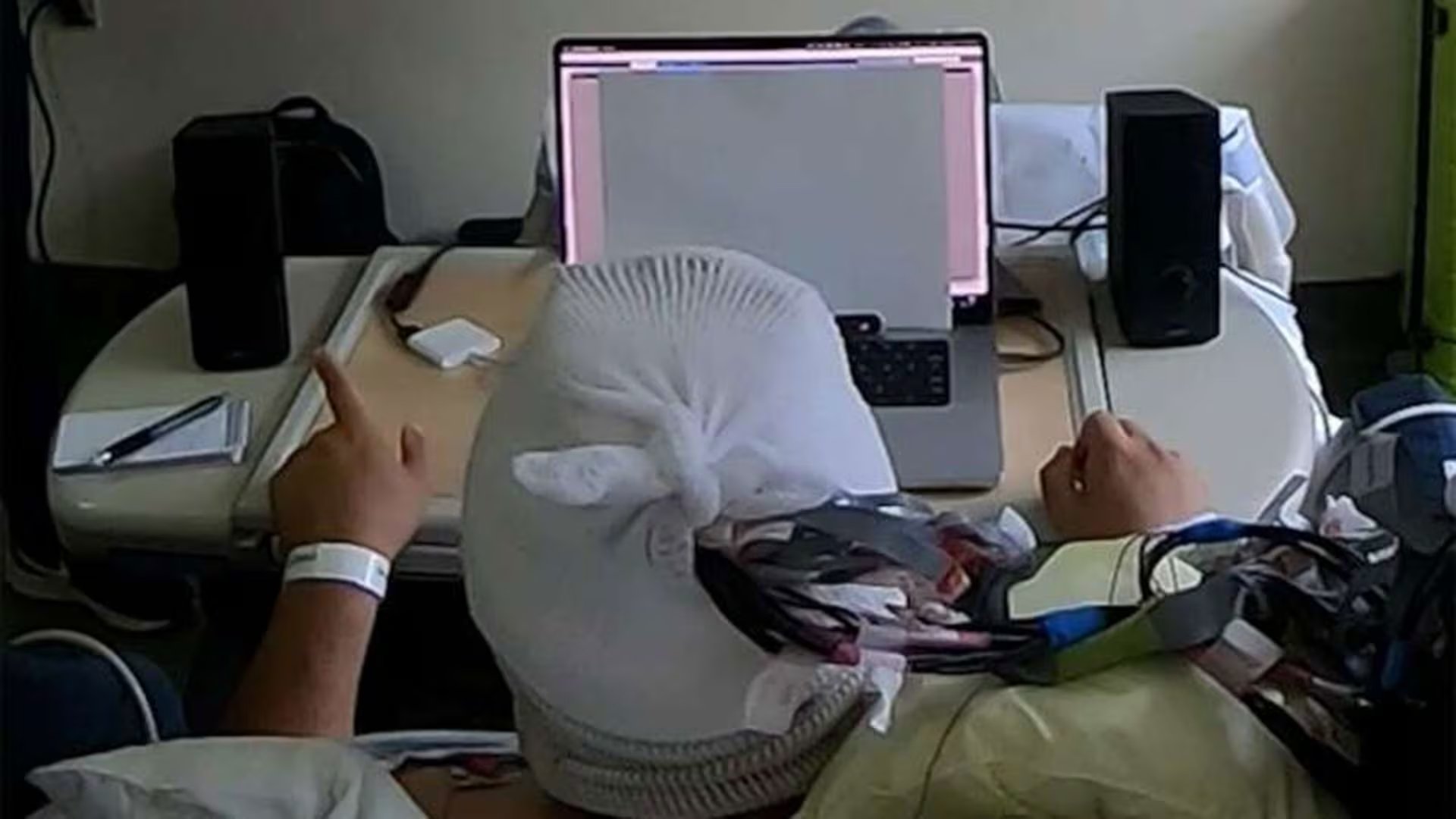 Un sistema auditivo experimental monitorea la actividad cerebral de un participante para identificar a qué conversación presta atención y amplificar únicamente esa voz mientras atenúa los sonidos del entorno (Créditos: Vishal Choudhari / Mesgarani lab / Columbia's Zuckerman Institute)