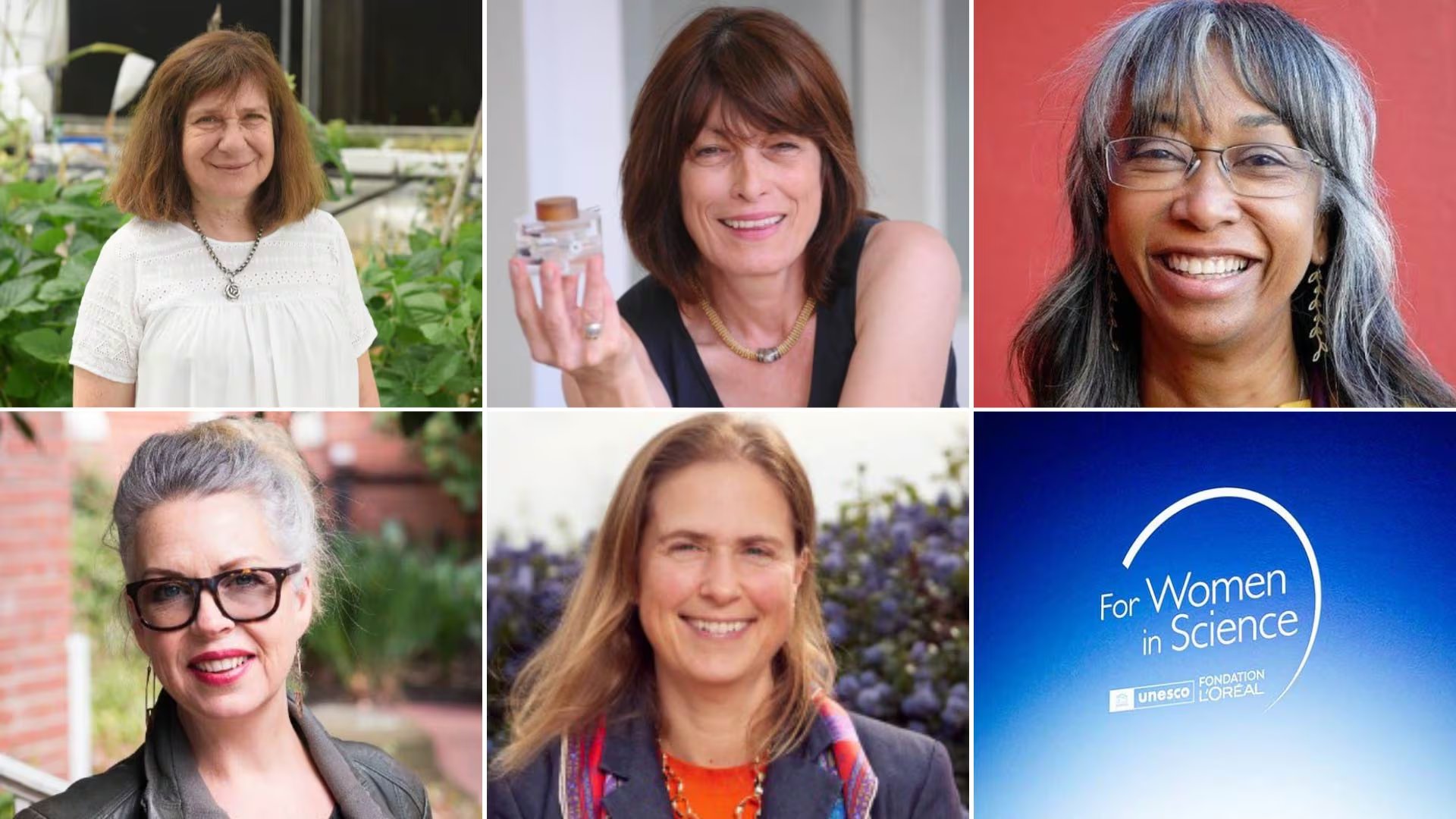 Las cinco ganadores del Premio For Women in Science 2026, destacando su importante contribución en diversos campos de la ciencia