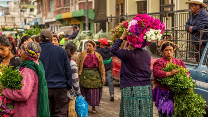 El microclima de Chimaltenango favorece la producción de una amplia diversidad de especies nativas e importadas para la exportación de flores de Guatemala. (Fotografía retomada de guatemala.com)