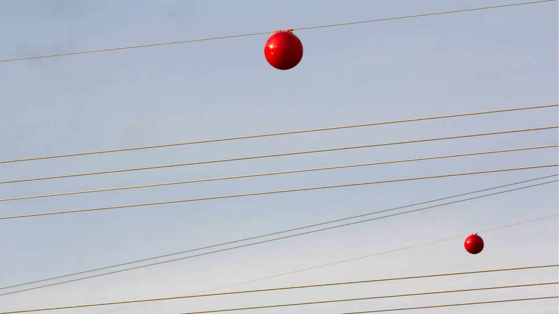 Las esferas en cables eléctricos que ayudan a prevenir choques de aviones y proteger aves. (Foto: Difusión)
