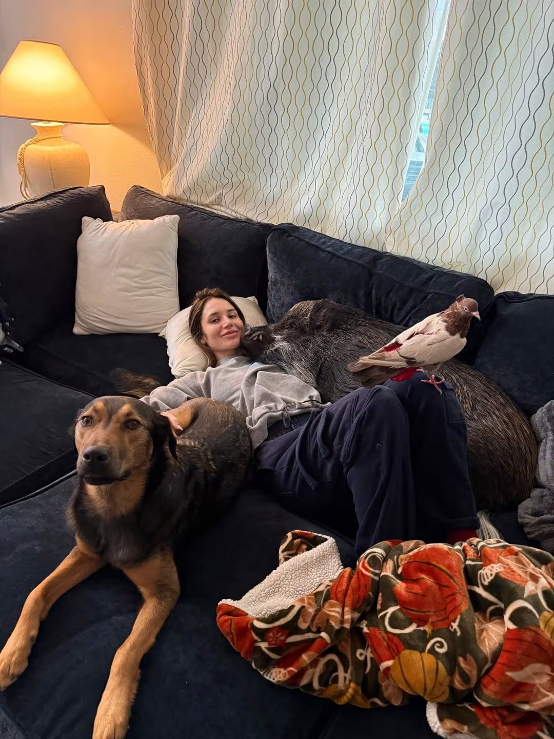 La experiencia con Merlin subraya la importancia de reconocer las capacidades comunicativas de los animales y su impacto emocional en las personas (Instagram/@merlinthepig)