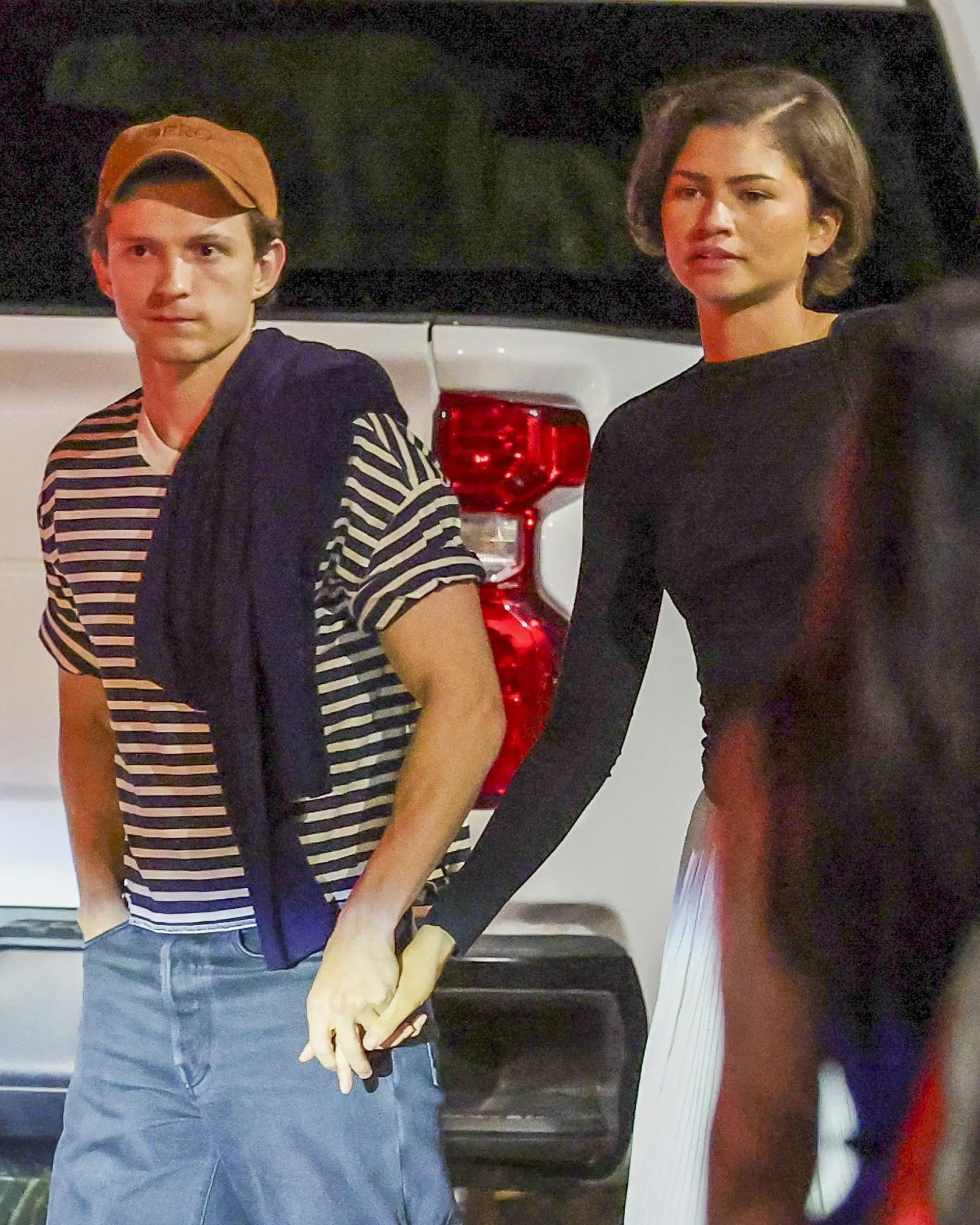 Zendaya y Tom Holland adoptaron una mascota. (Grosby)