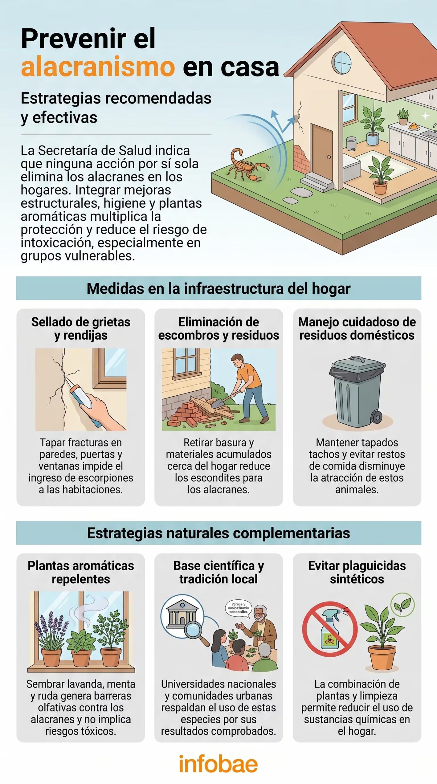 La Secretaría de Salud recomienda combinar mejoras estructurales, manejo de residuos y plantas aromáticas como lavanda y menta para prevenir eficazmente la entrada de alacranes a los hogares y proteger a la población. (Imagen Ilustrativa Infobae)