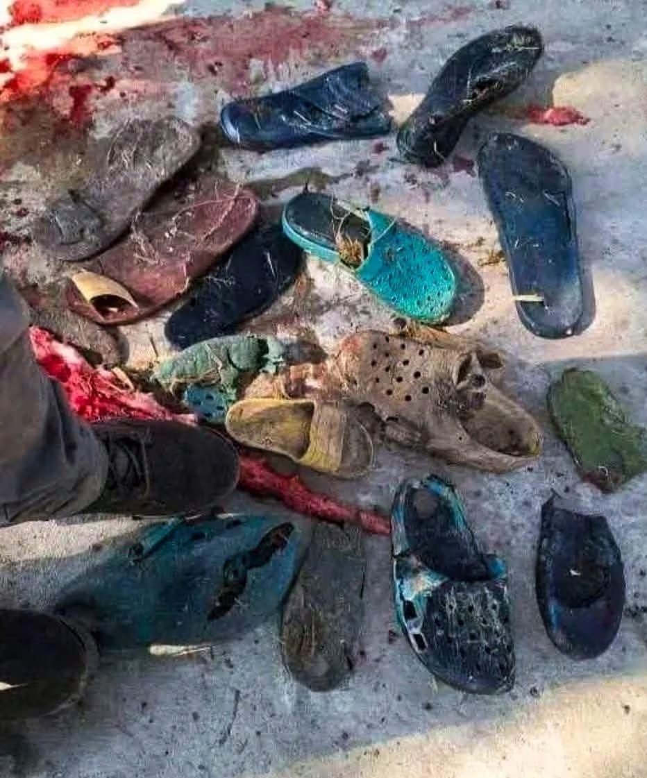 Veterinarios forenses encontraron seis piezas de calzado, entre zapatillas y sandalias, junto a los restos humanos en el estómago del animal (Créditos: Redes sociales/ X)