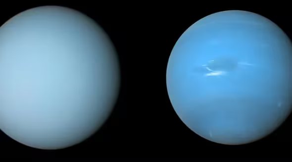 Los modelos internos de Urano y Neptuno revelaron que la roca puede dominar en las envolturas externas junto con hidrógeno y helio (NASA)