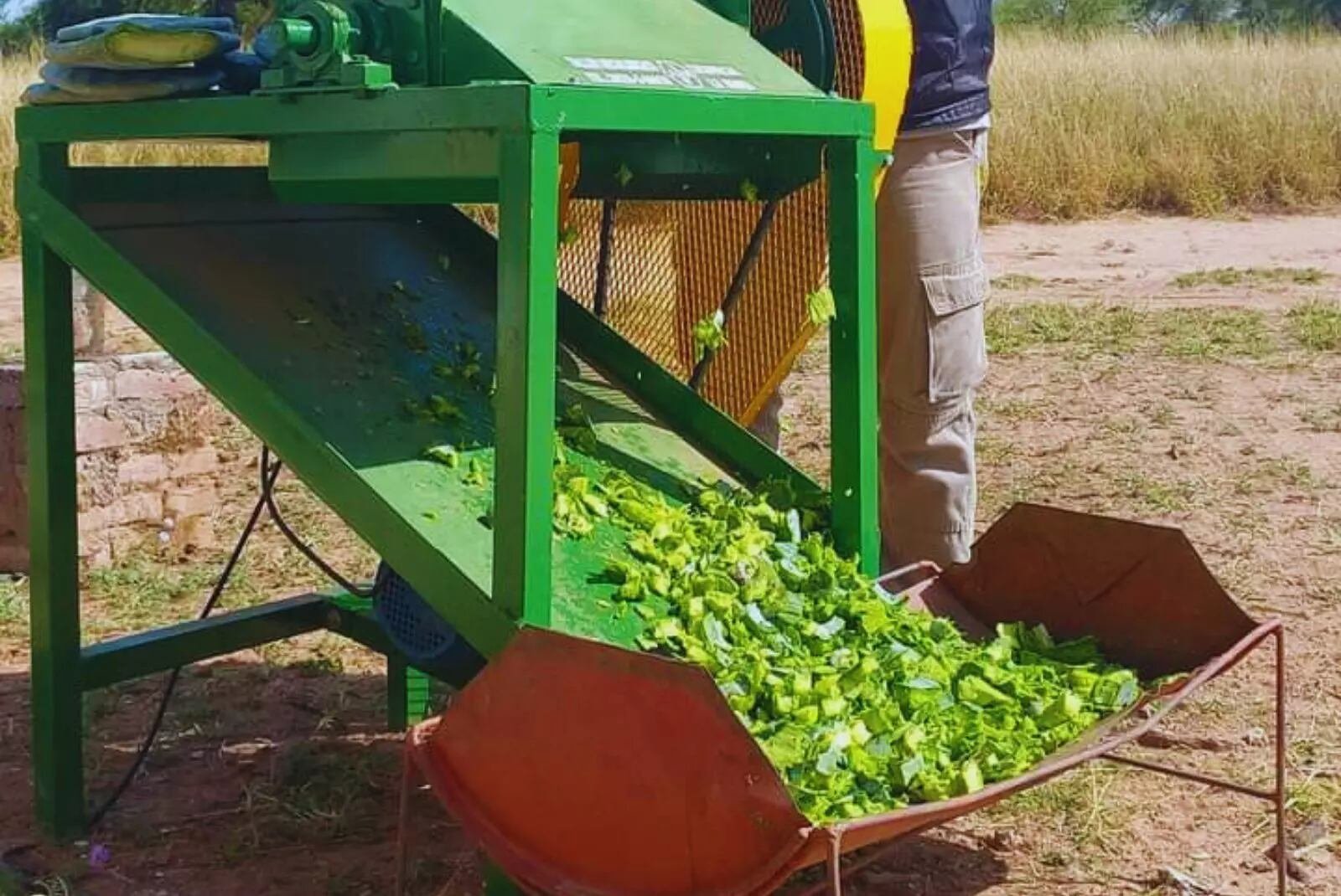 El avance apunta a optimizar el manejo forrajero y aportar una herramienta concreta para enfrentar la escasez de agua y alimento en ambientes áridos. (inta)