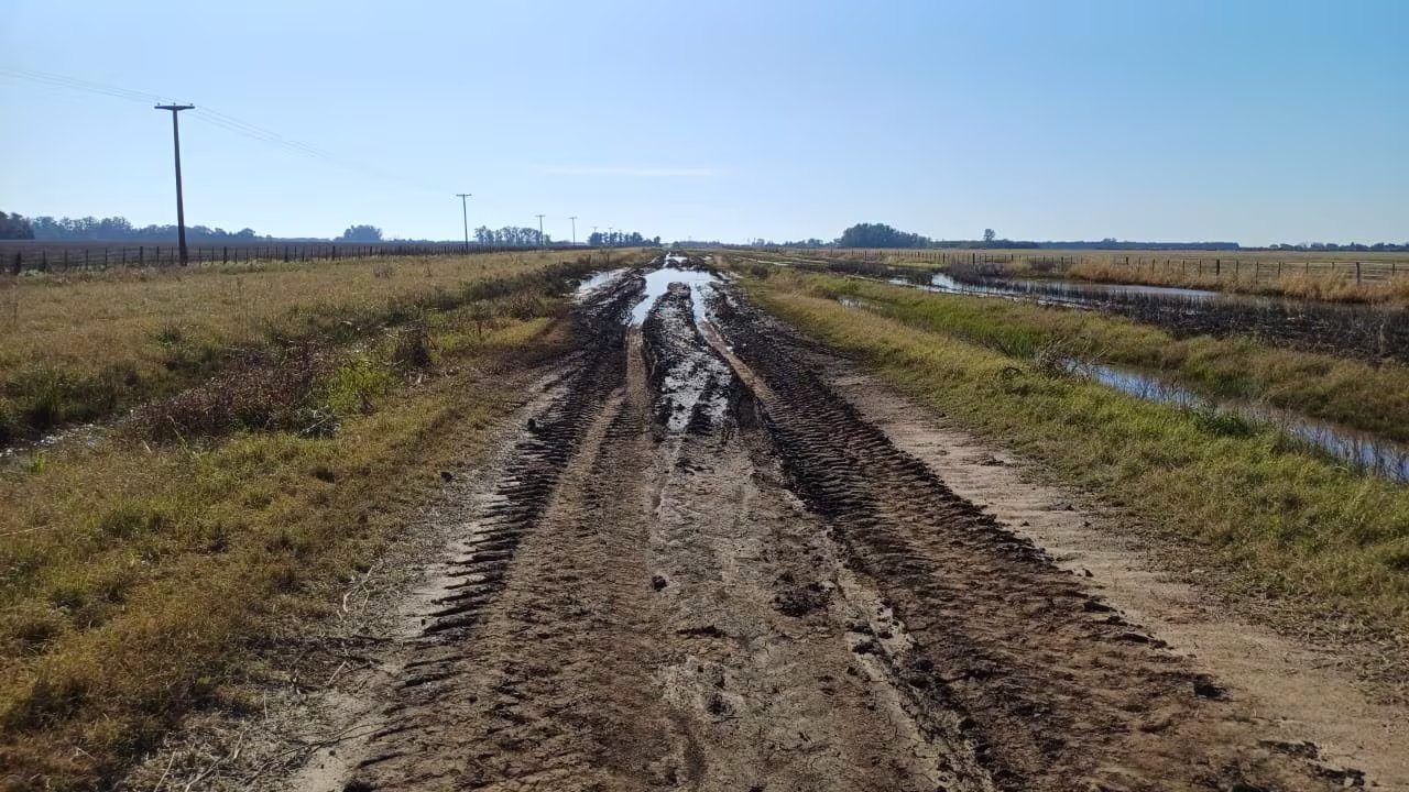 Zona agrícola, en una imagen de archivo. (Sociedad Rural de Baradero)