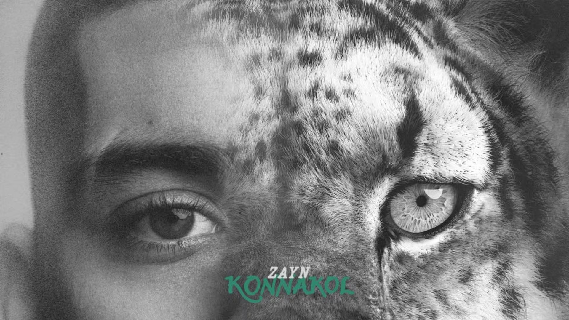 El artista describió este nuevo disco como una exploración de sus raíces y su identidad cultural. (Instagram - @zayn)