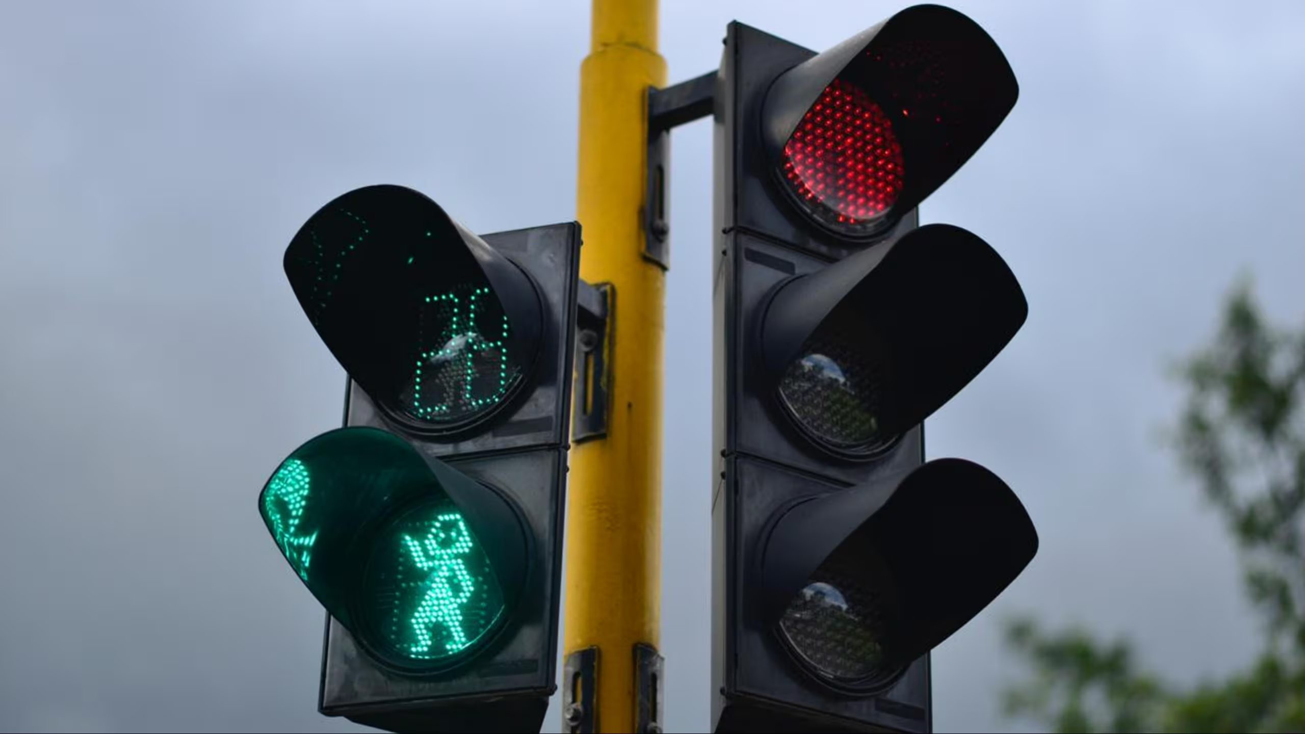 El laboratorio incorporará bolardos luminosos, cintas led de piso y botones de demanda para reforzar la seguridad peatonal y facilitar el cruce de personas con discapacidad - crédito Secretaría de Movilidad