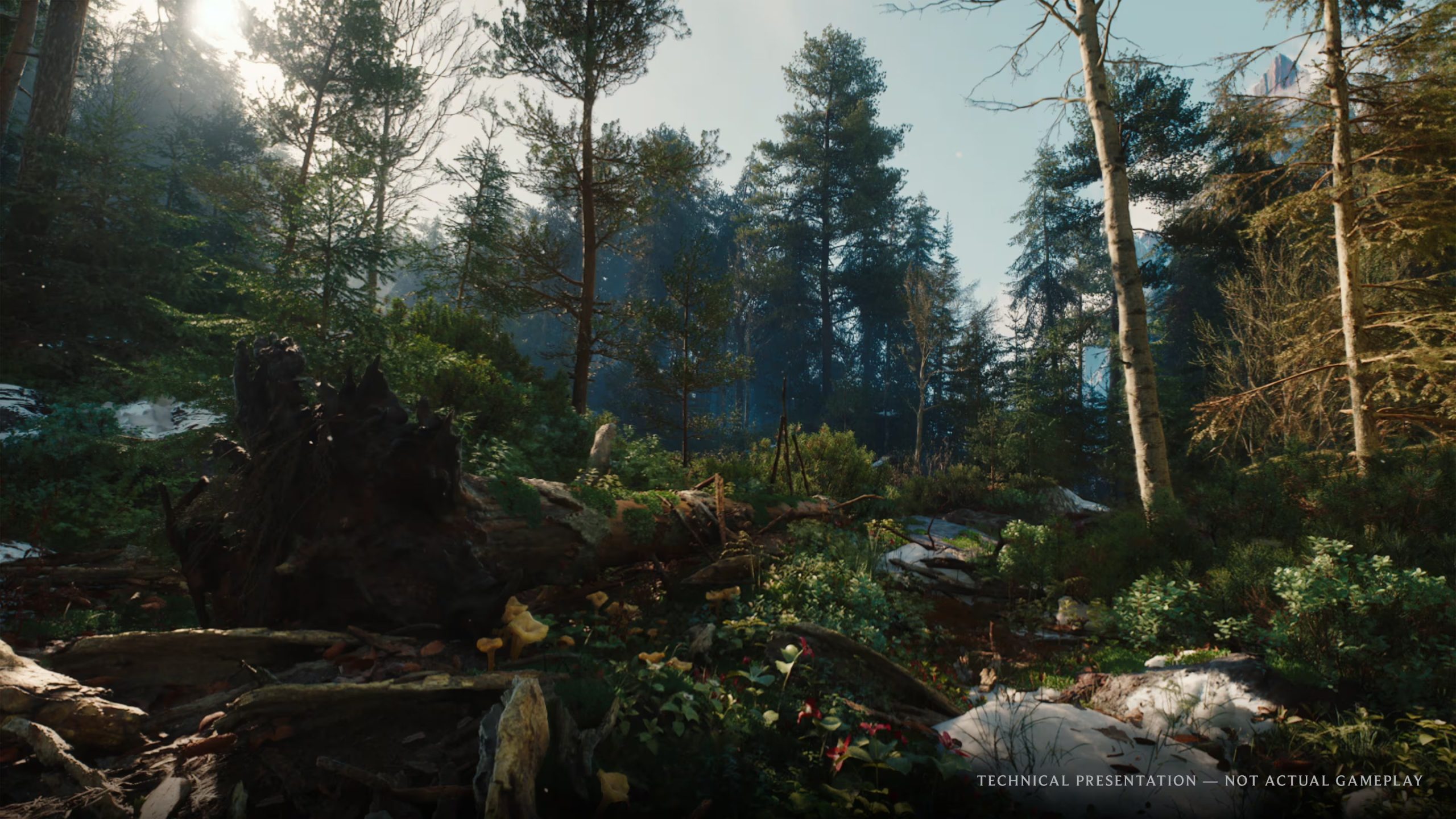 The Witcher 4, de CD Projekt Red.