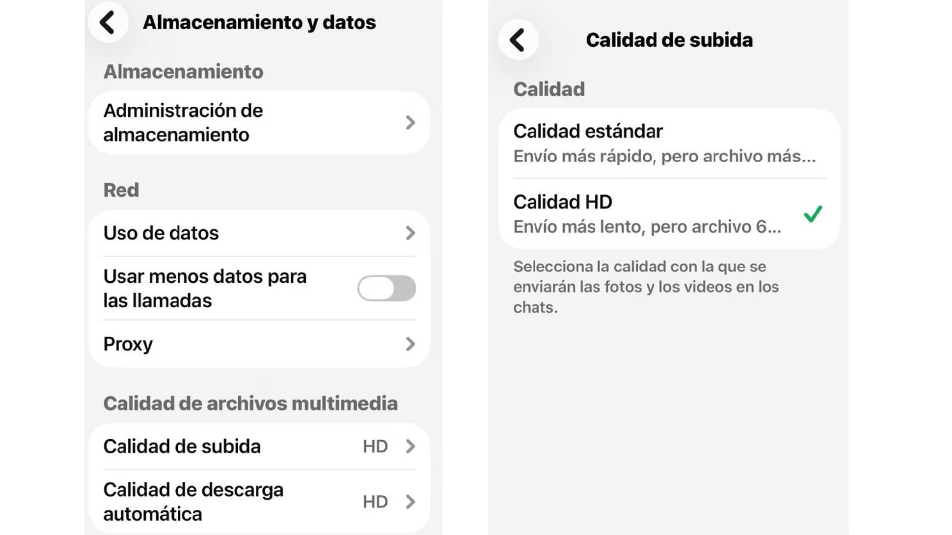 Dentro de ese menú, se puede elegir entre calidad estándar o calidad HD.
(Composición Infobae: captura WhatsApp)