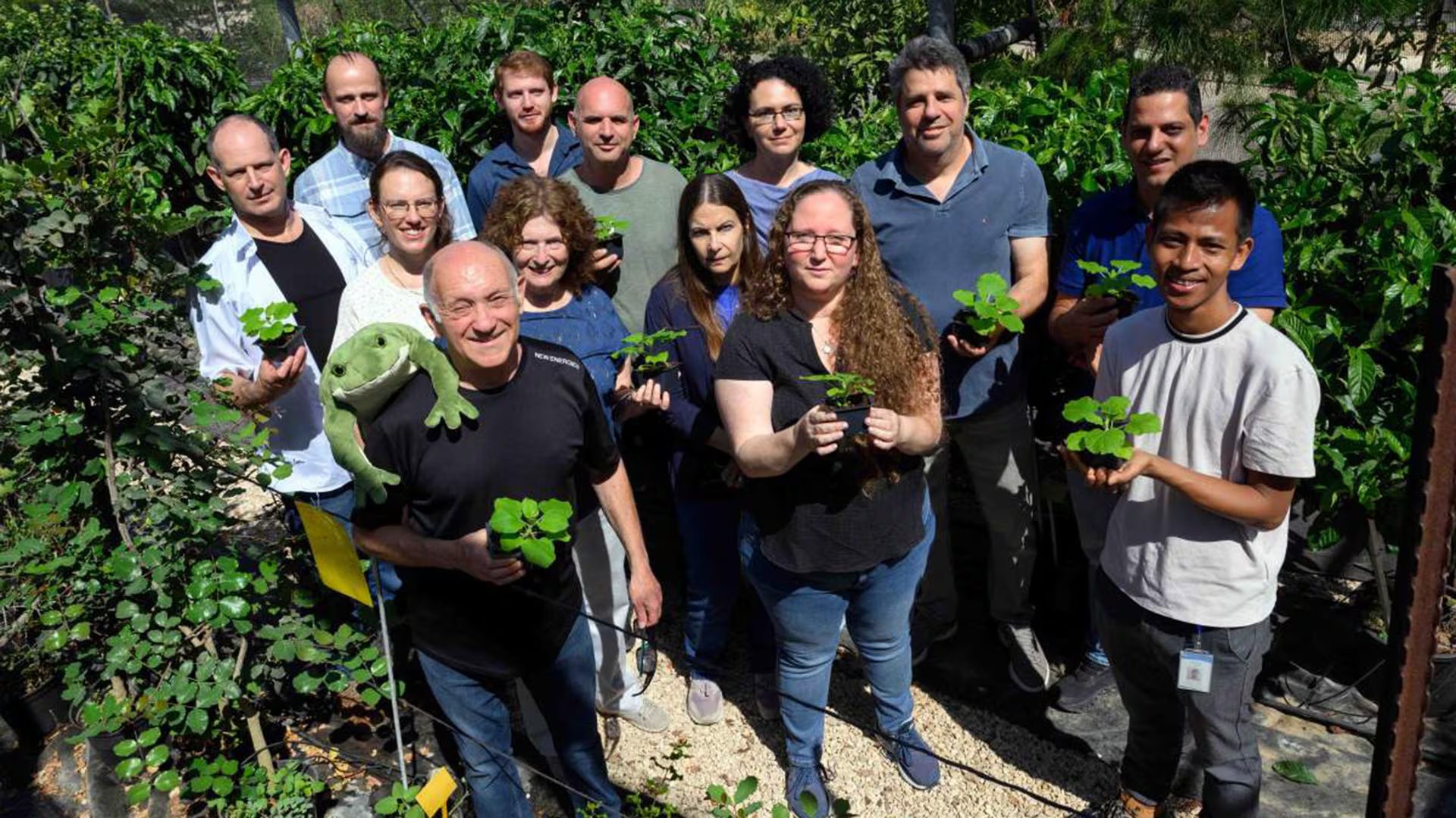 El estudio explora qué función ecológica cumplen estos compuestos en plantas, microbios e interacciones con insectos (Instituto Weizmann)
