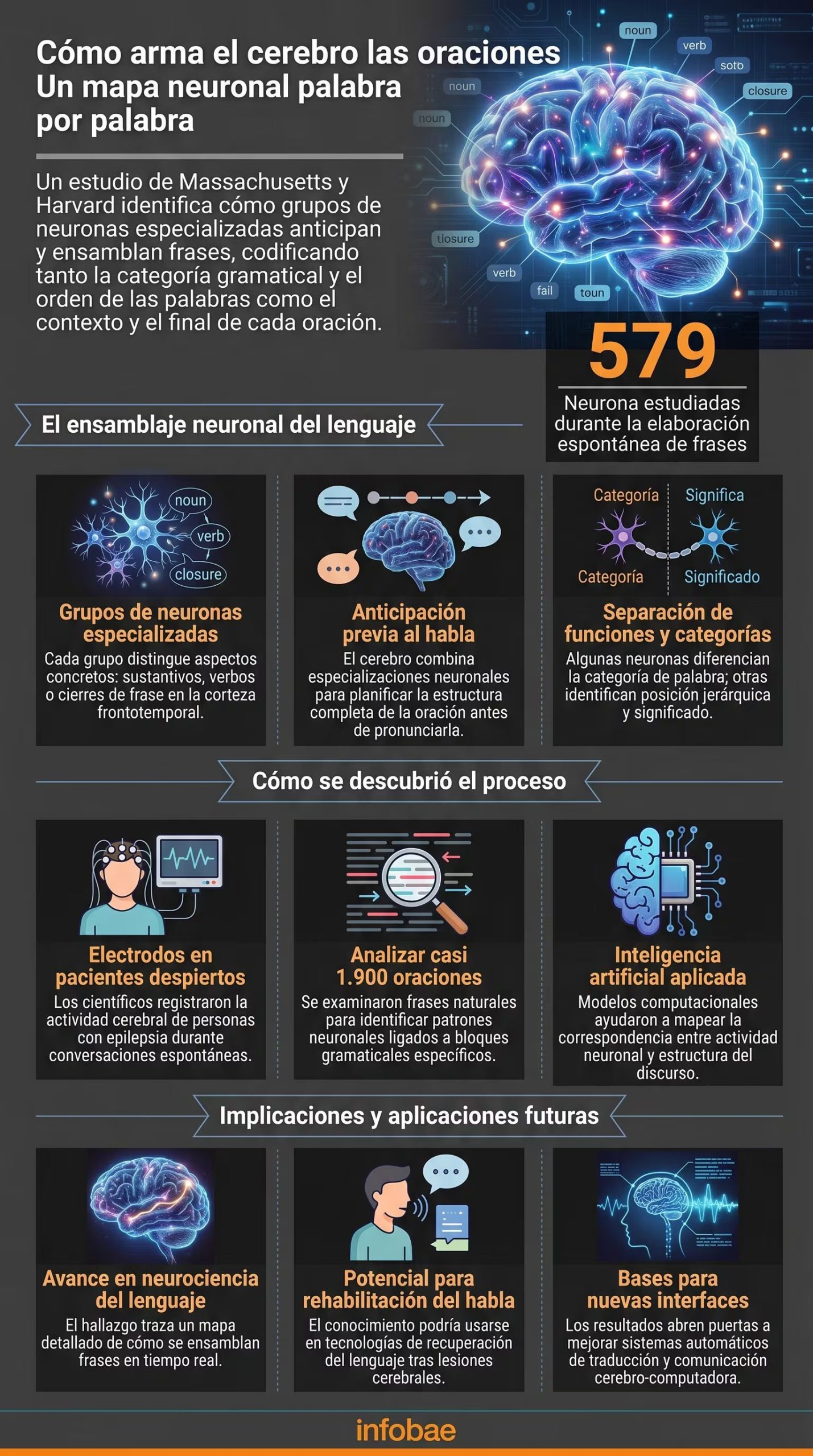 El cerebro humano organiza el discurso en bloques funcionales antes de hablar