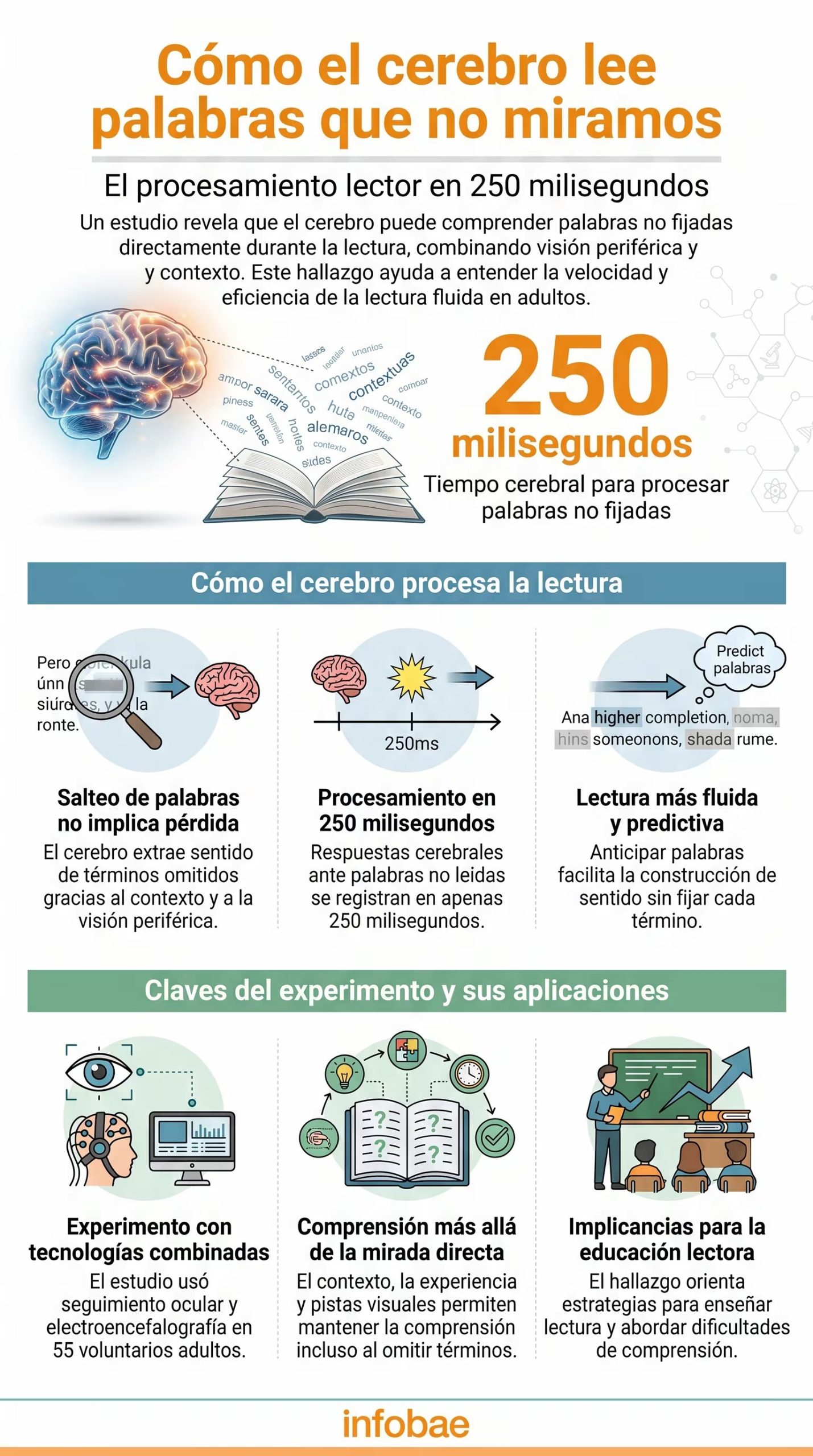 La investigación mostró que leer no implica avanzar palabra por palabra, porque los ojos saltan términos breves o previsibles sin perder sentido general (Imagen Ilustrativa Infobae)