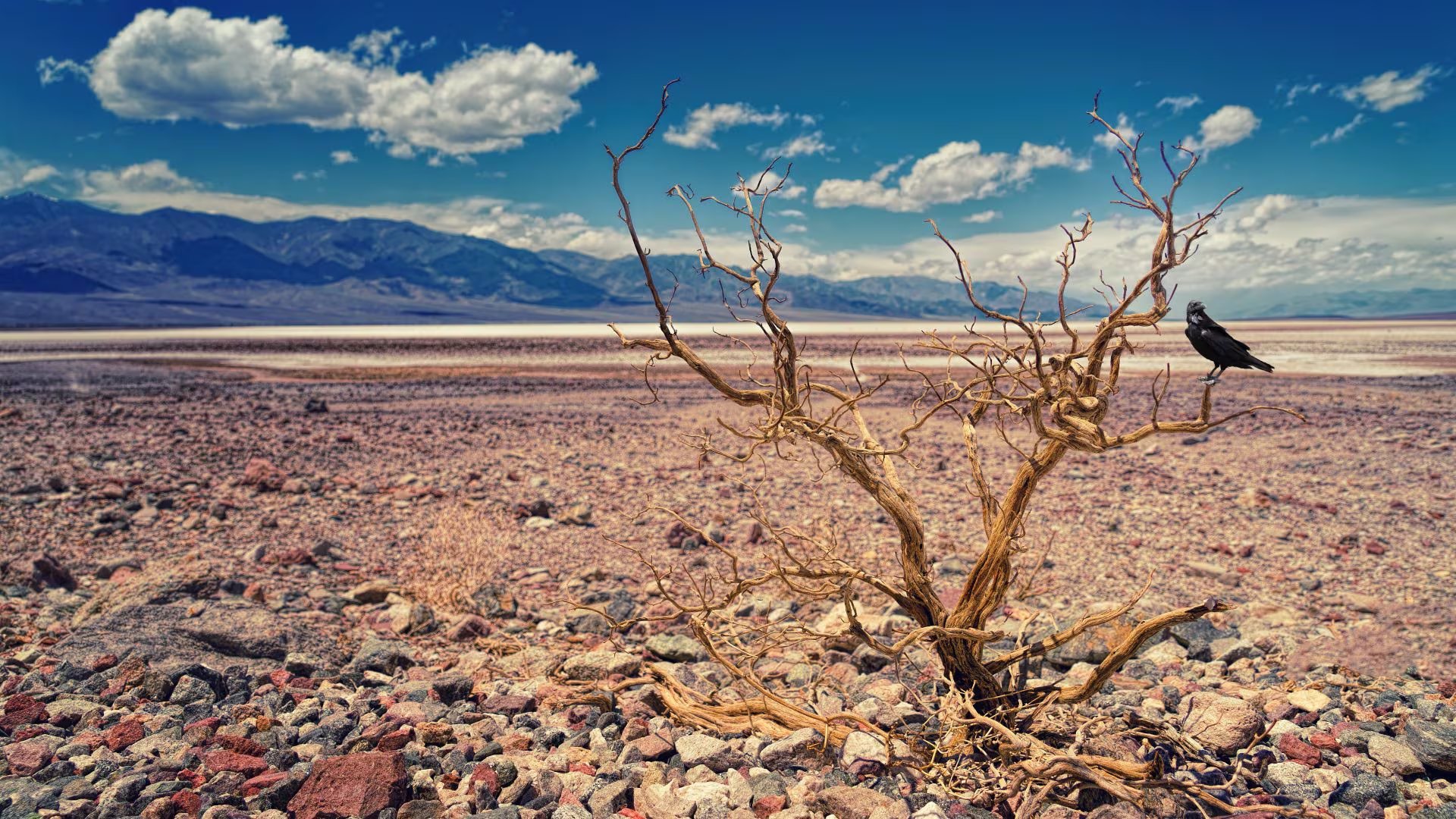 El análisis de la FAO y el PMA identifica tres motores principales de la inseguridad alimentaria aguda: los conflictos armados, las crisis económicas y los eventos climáticos extremos. (Magnific)