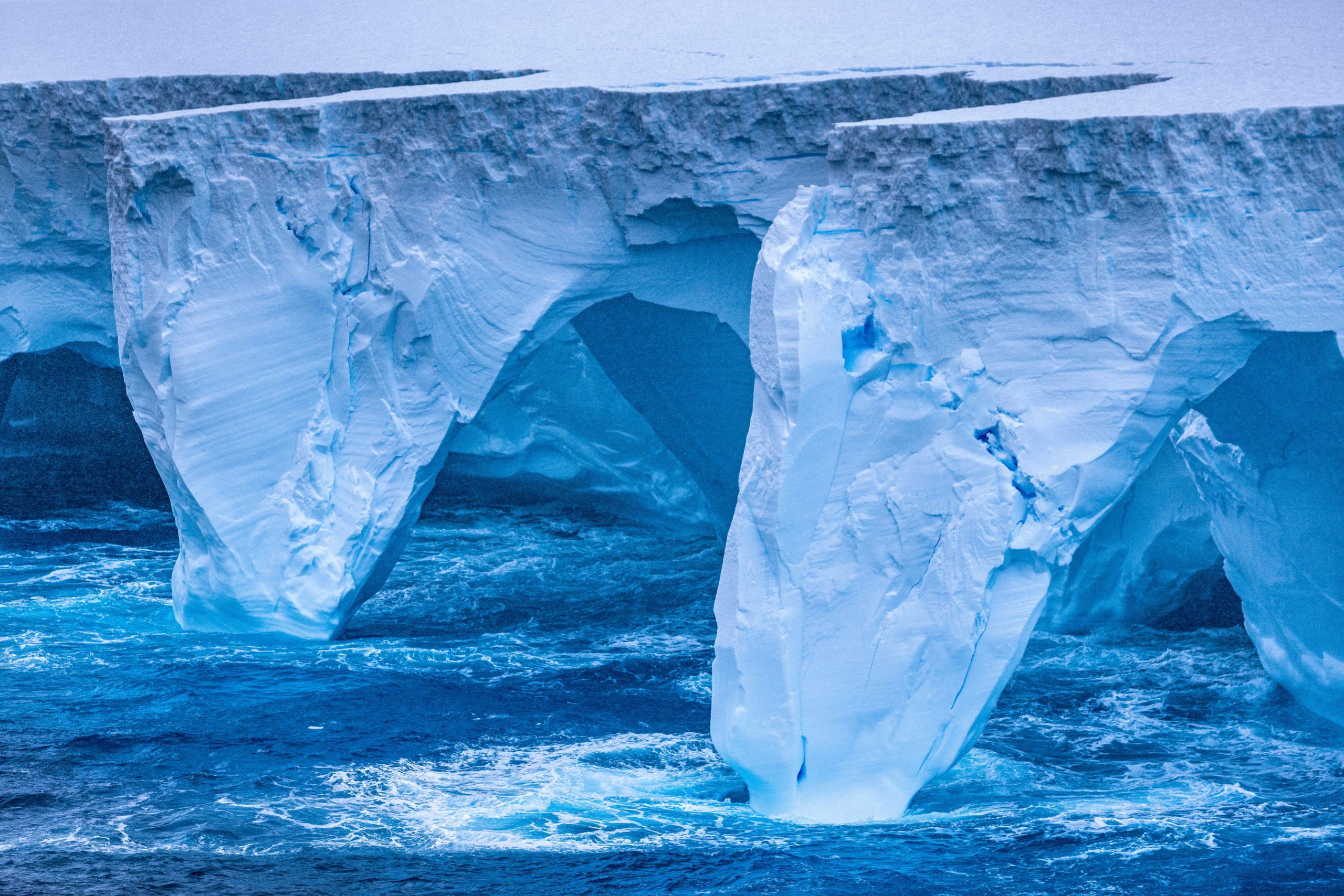 Modelos científicos permiten prever entre 30 y 50 años de aporte antártico al aumento del nivel del mar (Rob Suisted - http://naturespic.com/via REUTERS)