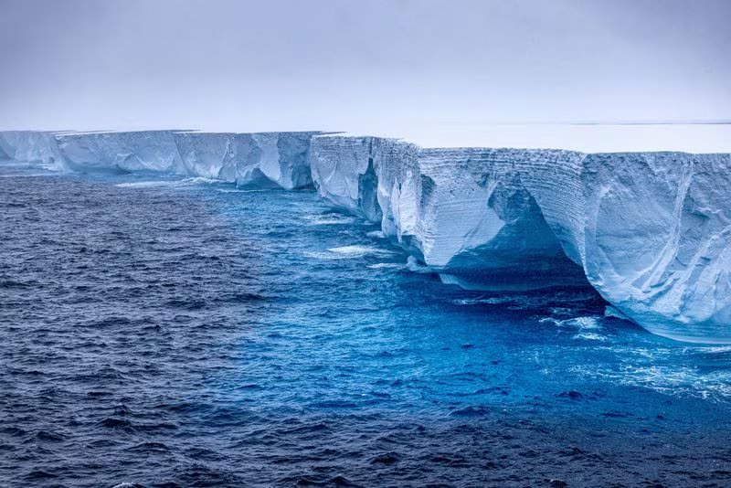 En un escenario extremo el nivel global del mar podría subir más de dos metros para fin de siglo, desplazando a millones de personas (Rob Suisted - http://naturespic.com/via REUTERS)