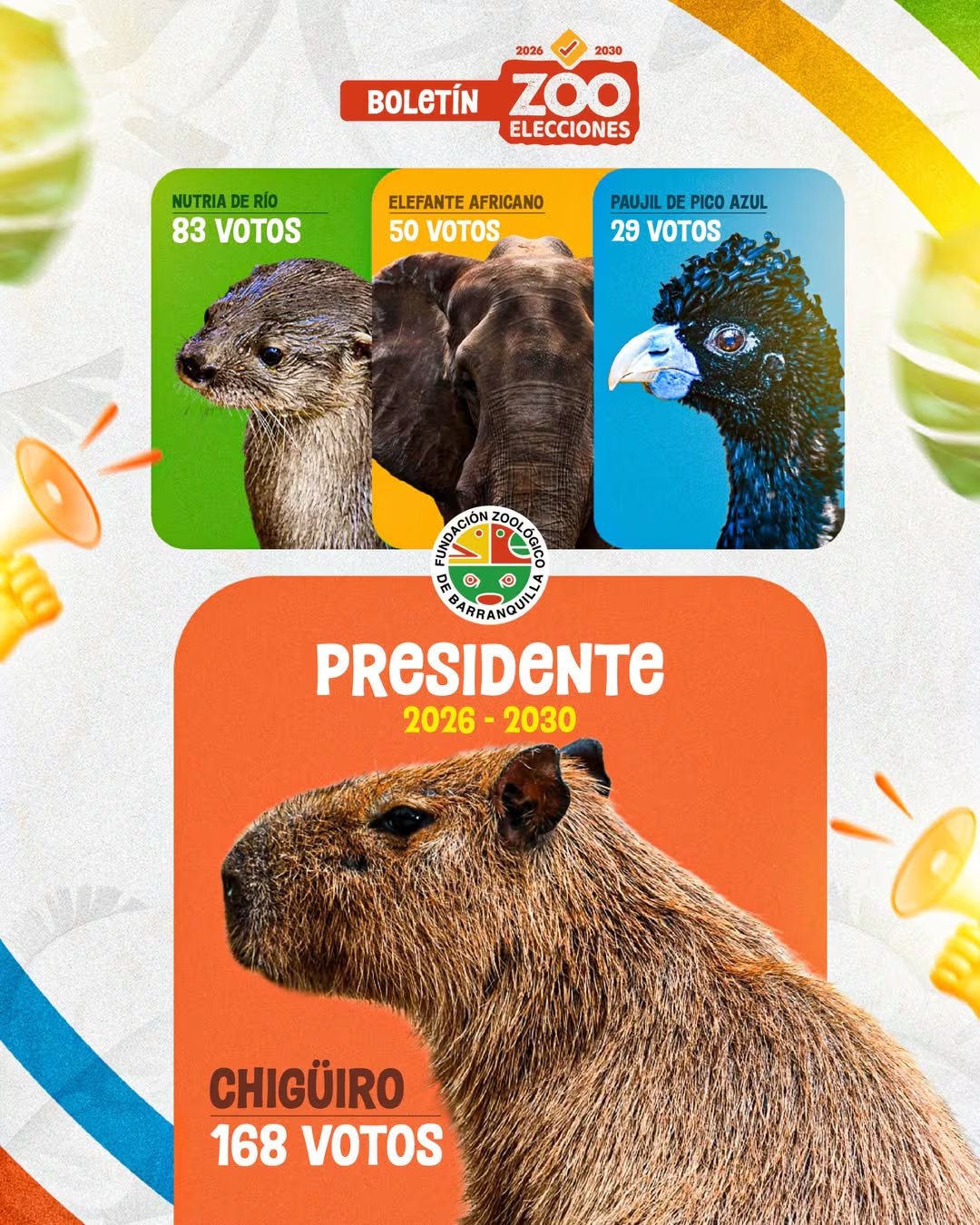 El escrutinio final registró 331 votos, con el chigüiro en primer lugar, seguido por la nutria de río, el elefante africano y el paujil de pico azul. - crédito @zoobaq/Instagram