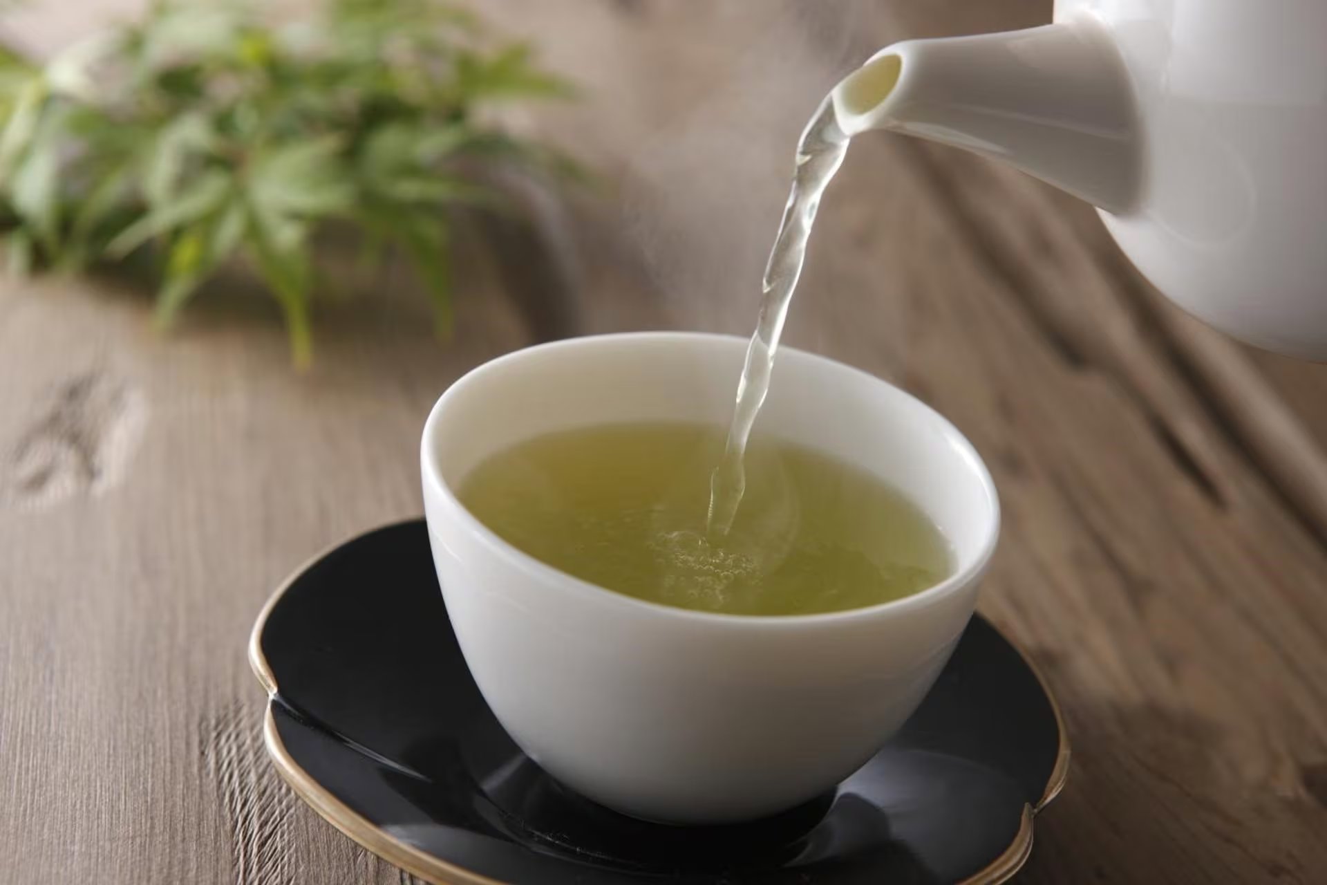 Ismael Galancho advirtió que no todos los compuestos del té verde se liberan a la misma velocidad durante la infusión 
(RENSSELAER POLYTECHNIC INSTITUTE)