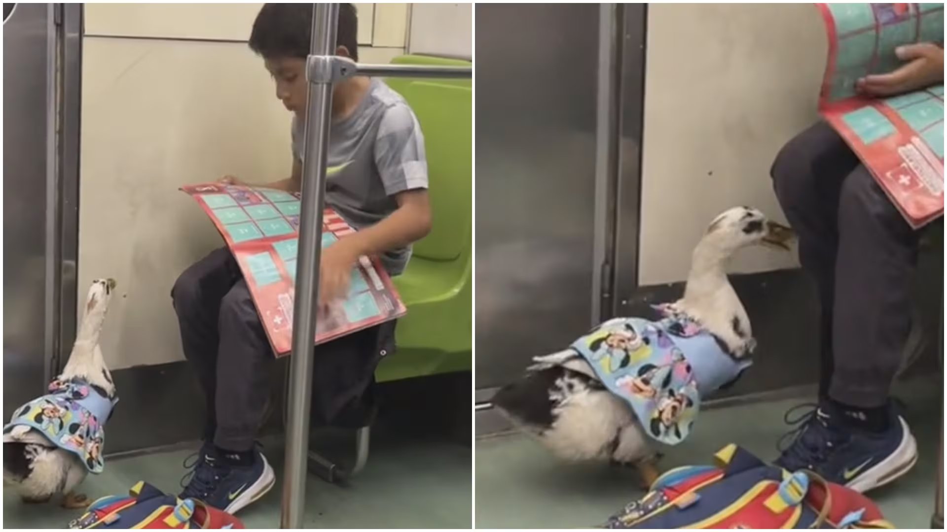 Niño y su pato viajaron en Metro de la CDMX (Fotos: TikTok/@weengaliindo)