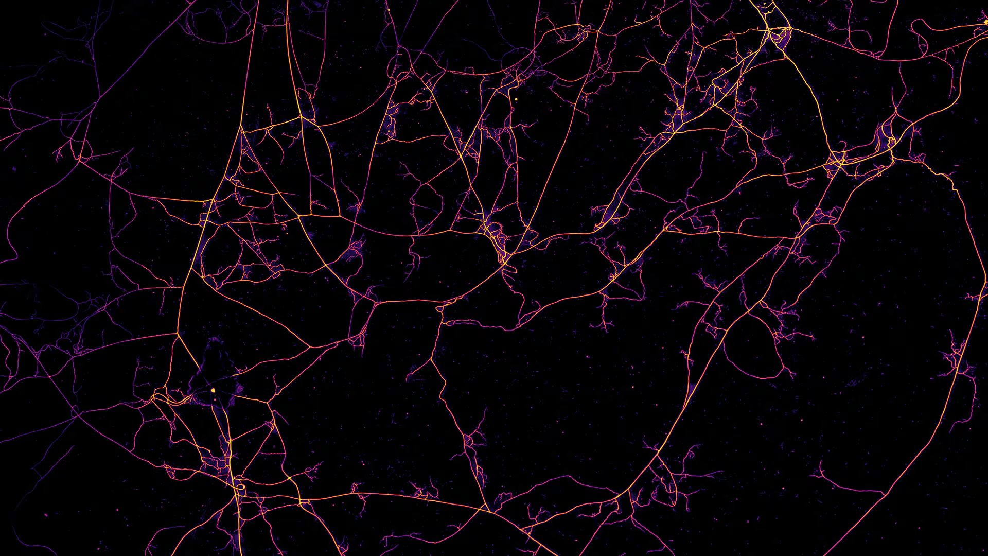 Imágenes de redes fúngicas obtenidas con un microscopio en el instituto de biofísica AMOLF de Ámsterdam. Los filamentos son hifas de micorrizas arbusculares/ Loreto Oyarte Gálvez - VU Ámsterdam, AMOLF