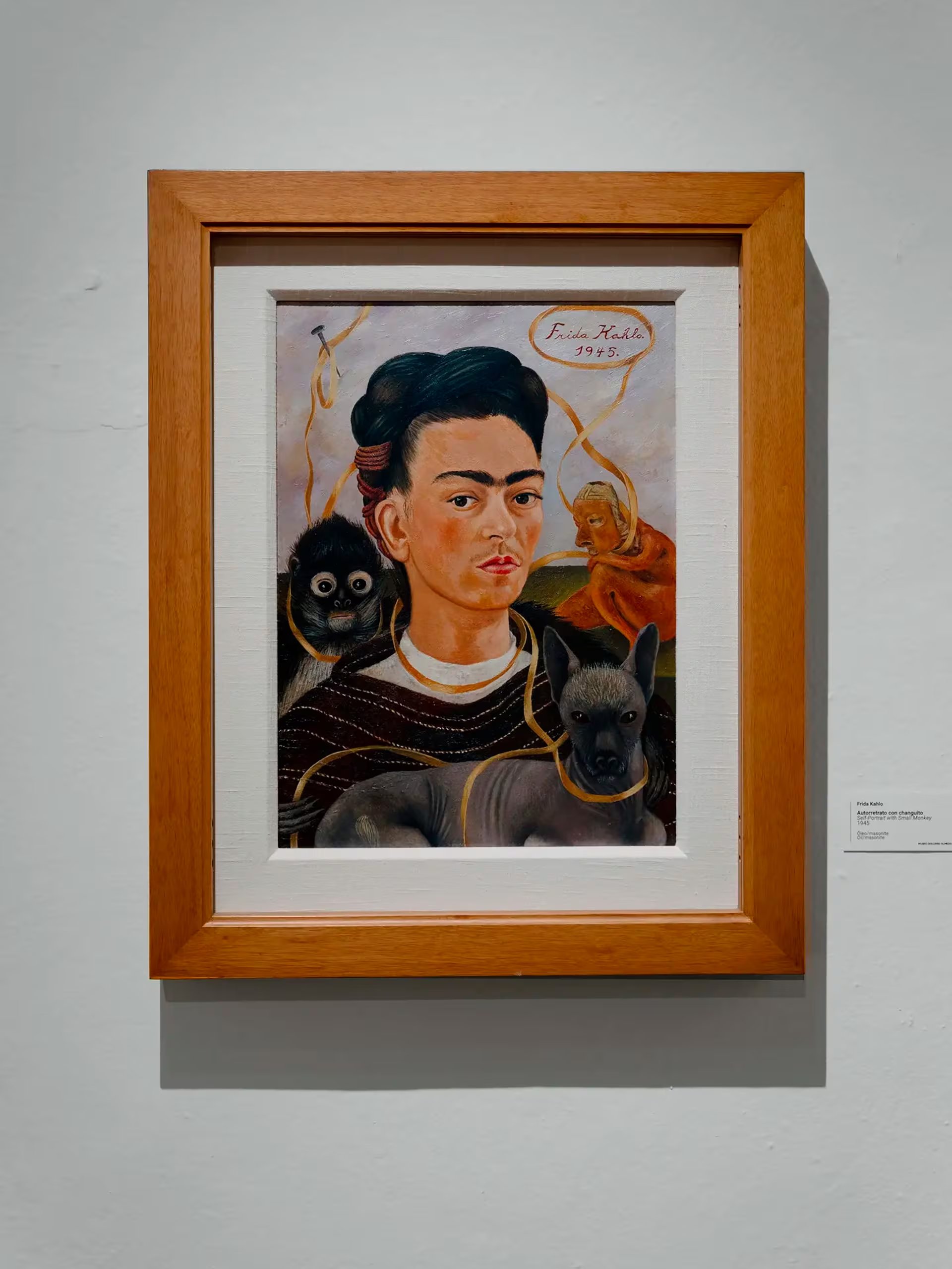 Dolores Olmedo, gran mecenas de Diego Rivera, consideraba a Frida como una rival pero compró 26 de sus obras, conformando la mayor colección existente. Sus trabajos se exhiben en la Ciudad de México (Crédito: Pablo López Luz / NYT)