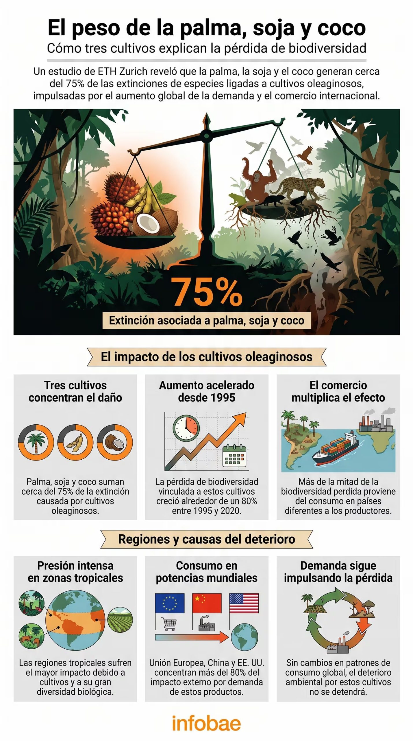 Esta infografía detalla cómo los cultivos de palma, soja y coco se relacionan con el 75% de las extinciones de especies y la pérdida global de biodiversidad (Imagen Ilustrativa Infobae)