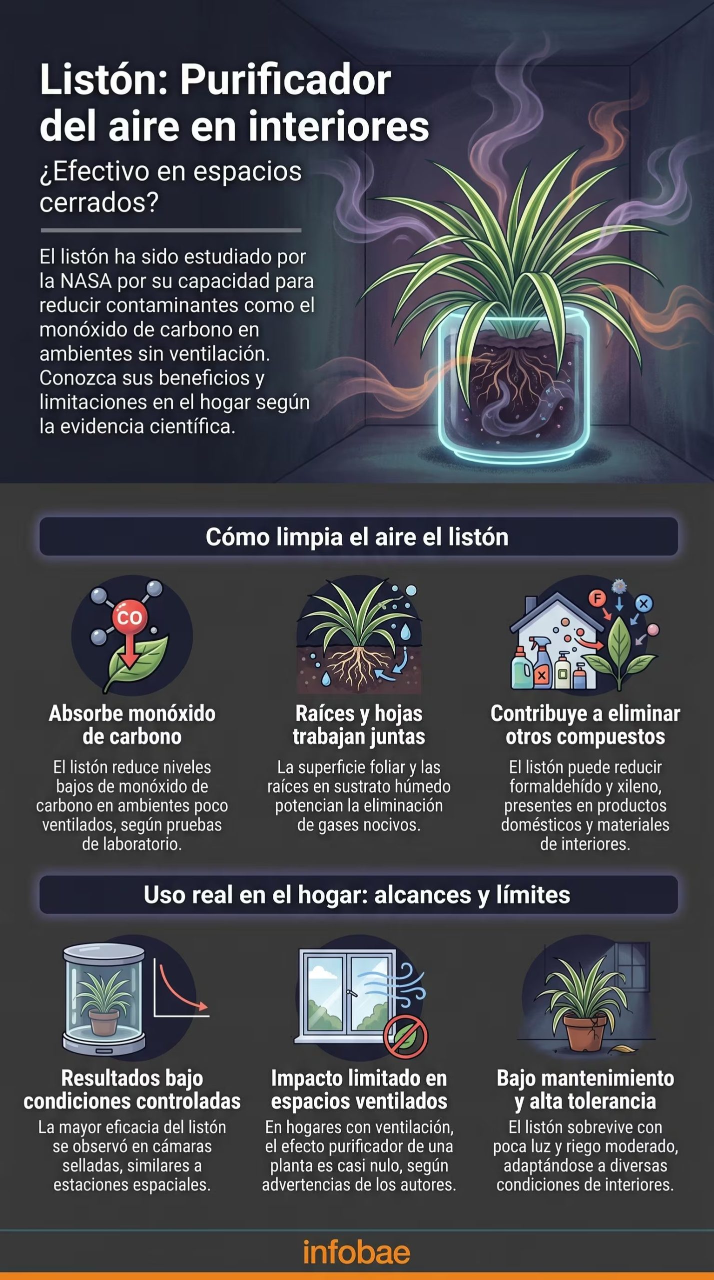 La NASA estudió la capacidad del listón para purificar el aire en ambientes cerrados, demostrando su eficiencia en la reducción de monóxido de carbono y otros compuestos. (Imagen Ilustrativa Infobae)