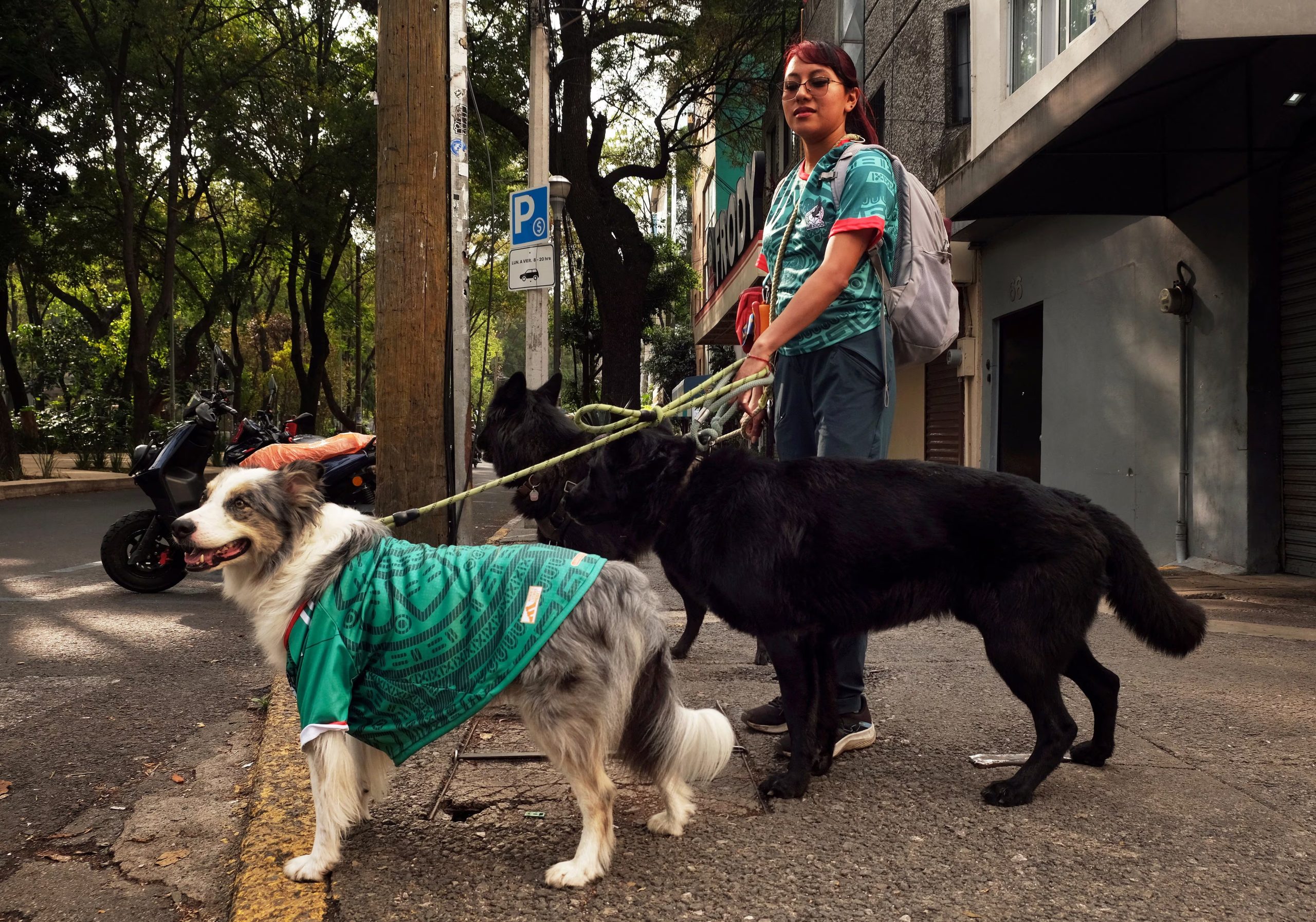 Hasta las mascotas viven la Copa del Mundo