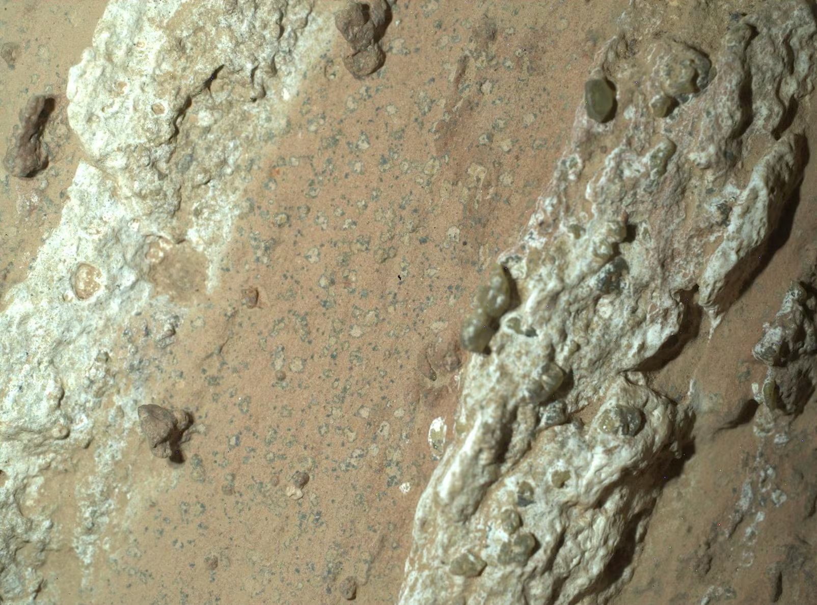 La materia orgánica hallada por Perseverance podría haberse formado en lagos y ríos antiguos, clave para entender la vida marciana (NASA/JPL-Caltech/MSSS/Handout via REUTERS)